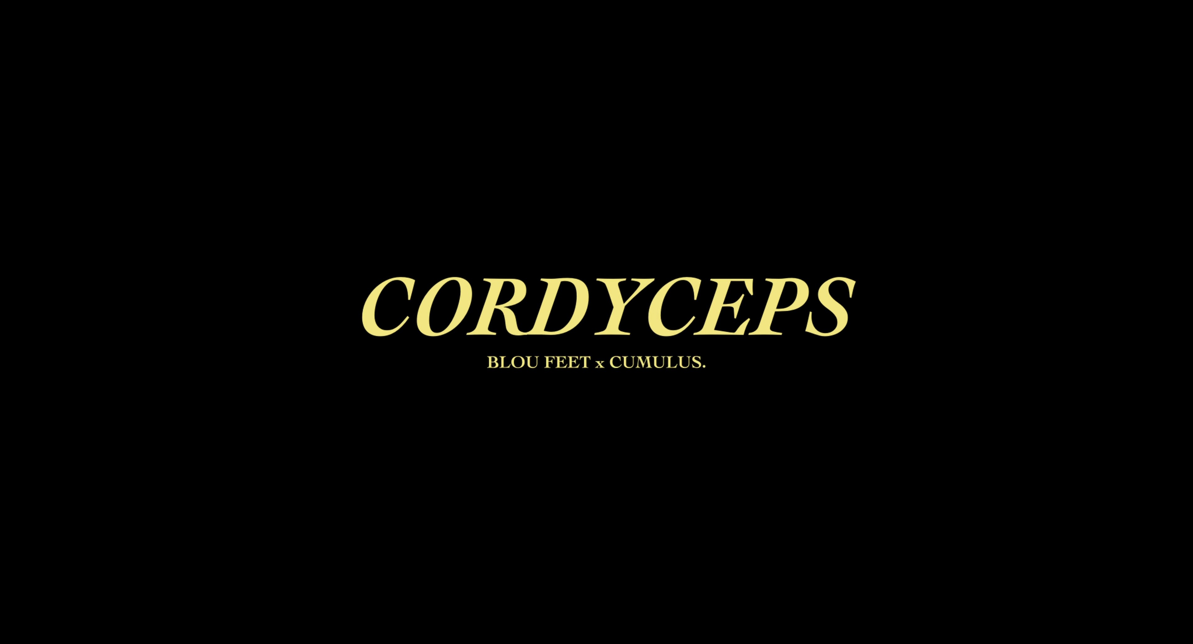 CORDYCEPS (2024) —  shot,  lighting
