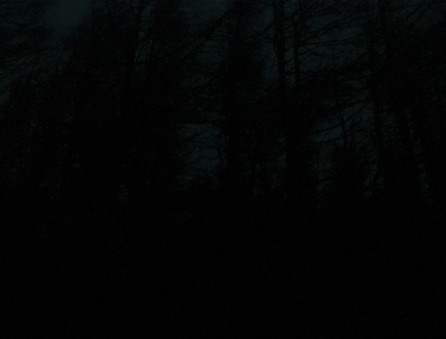 Sleep Has Her House (2017) —  shot,  lighting