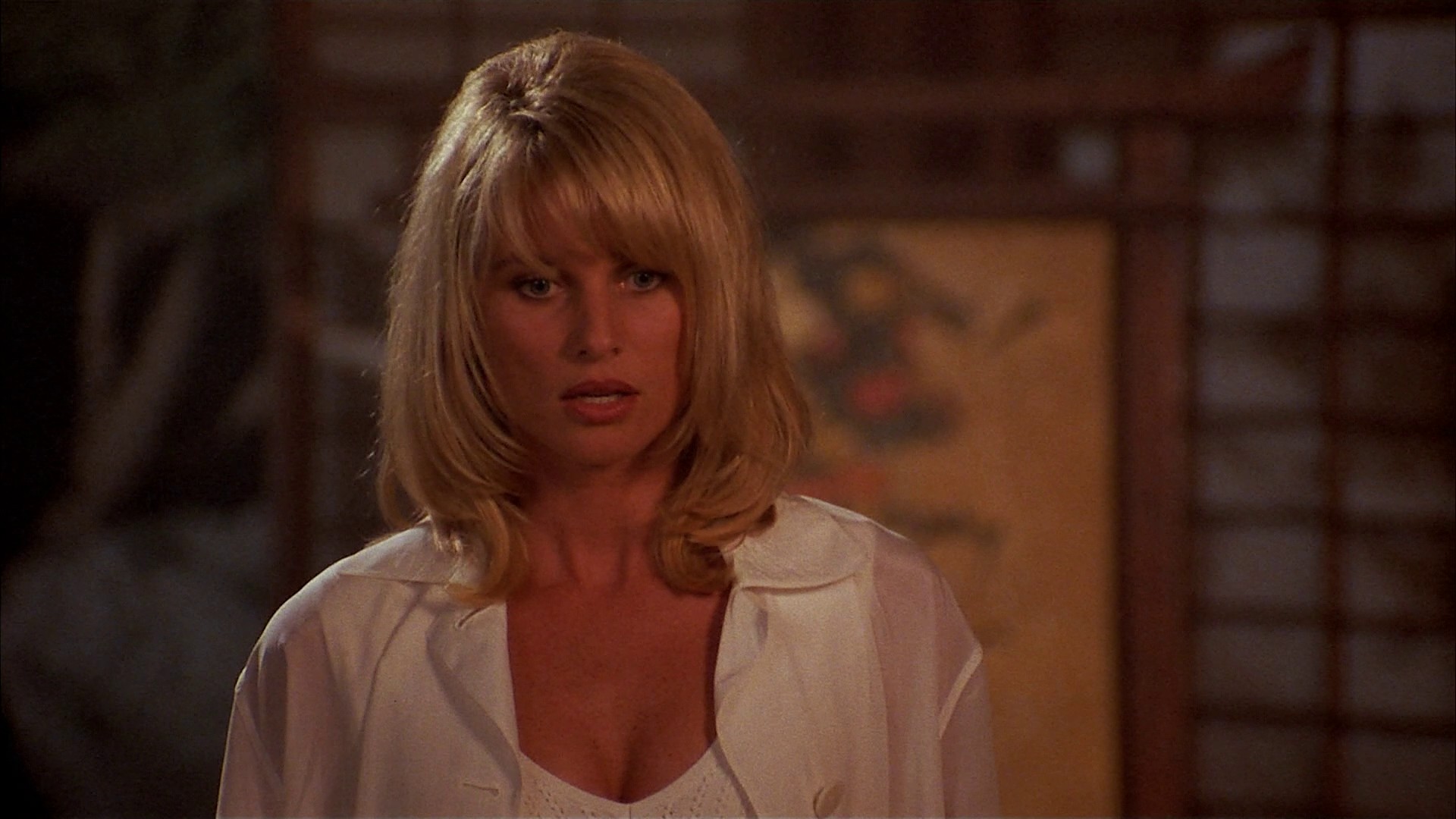 Beverly Hills Ninja (1997) —  shot,  lighting