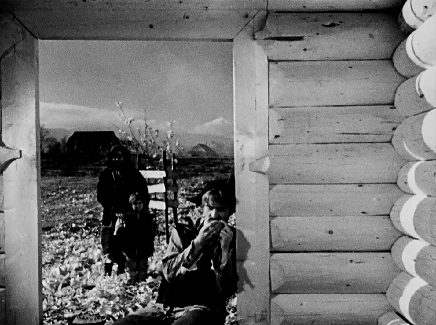 Shadows of Forgotten Ancestors (1965) —  shot,  lighting