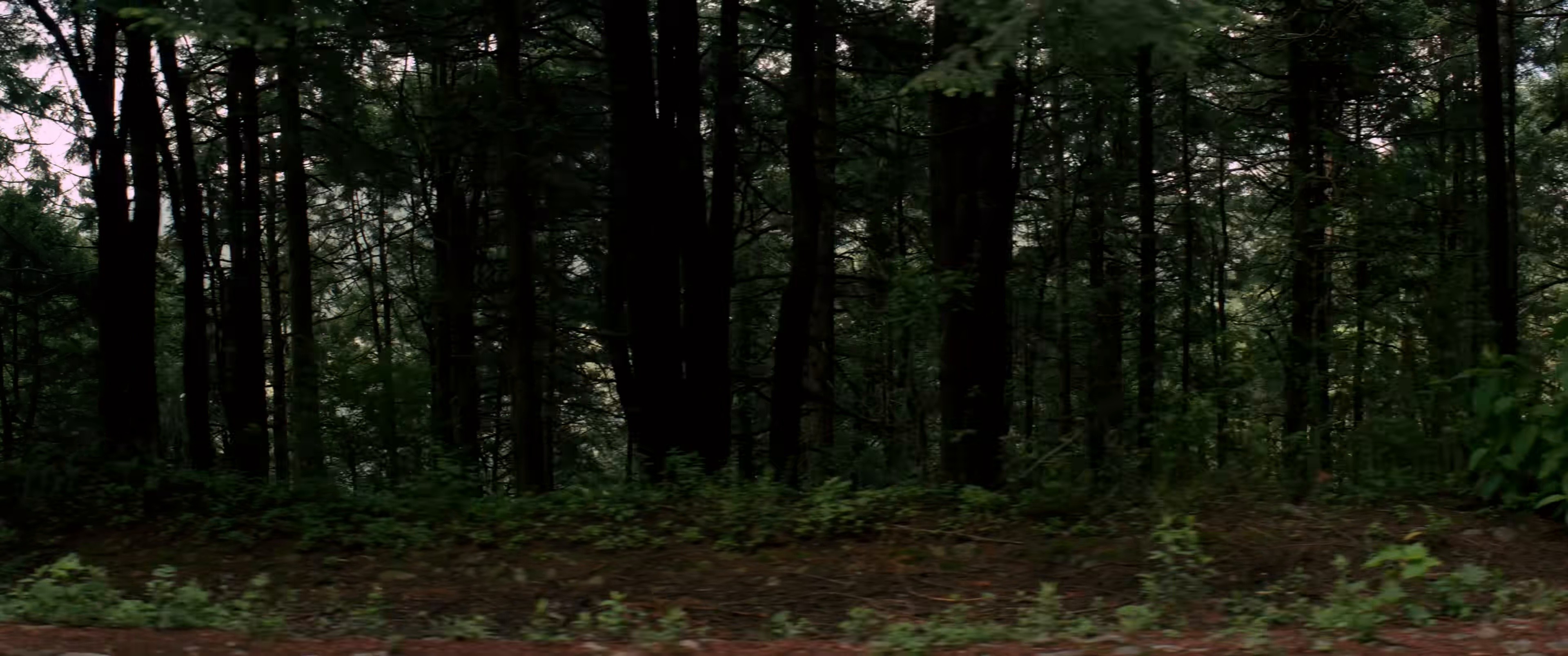 UNA LOKURA (2024) —  shot,  lighting