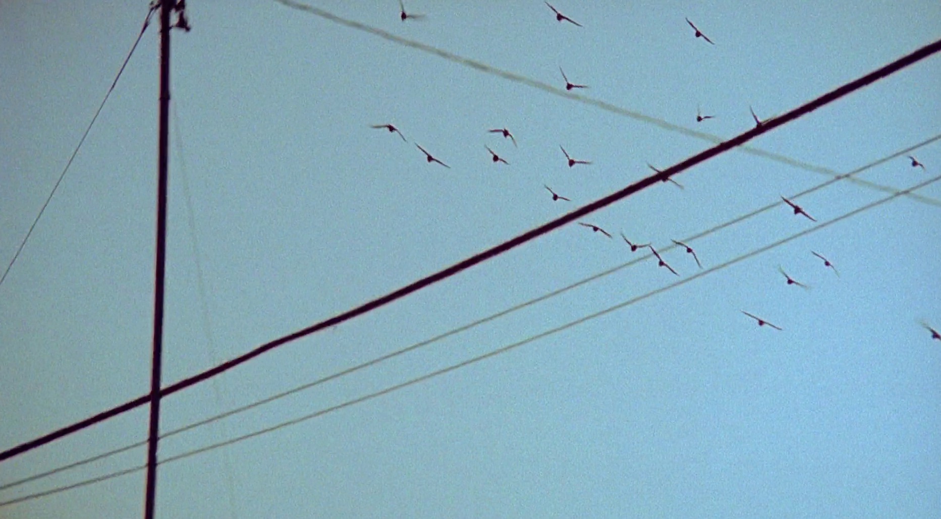 Benjamin Benmoyal SS22 (2021) —  shot,  lighting