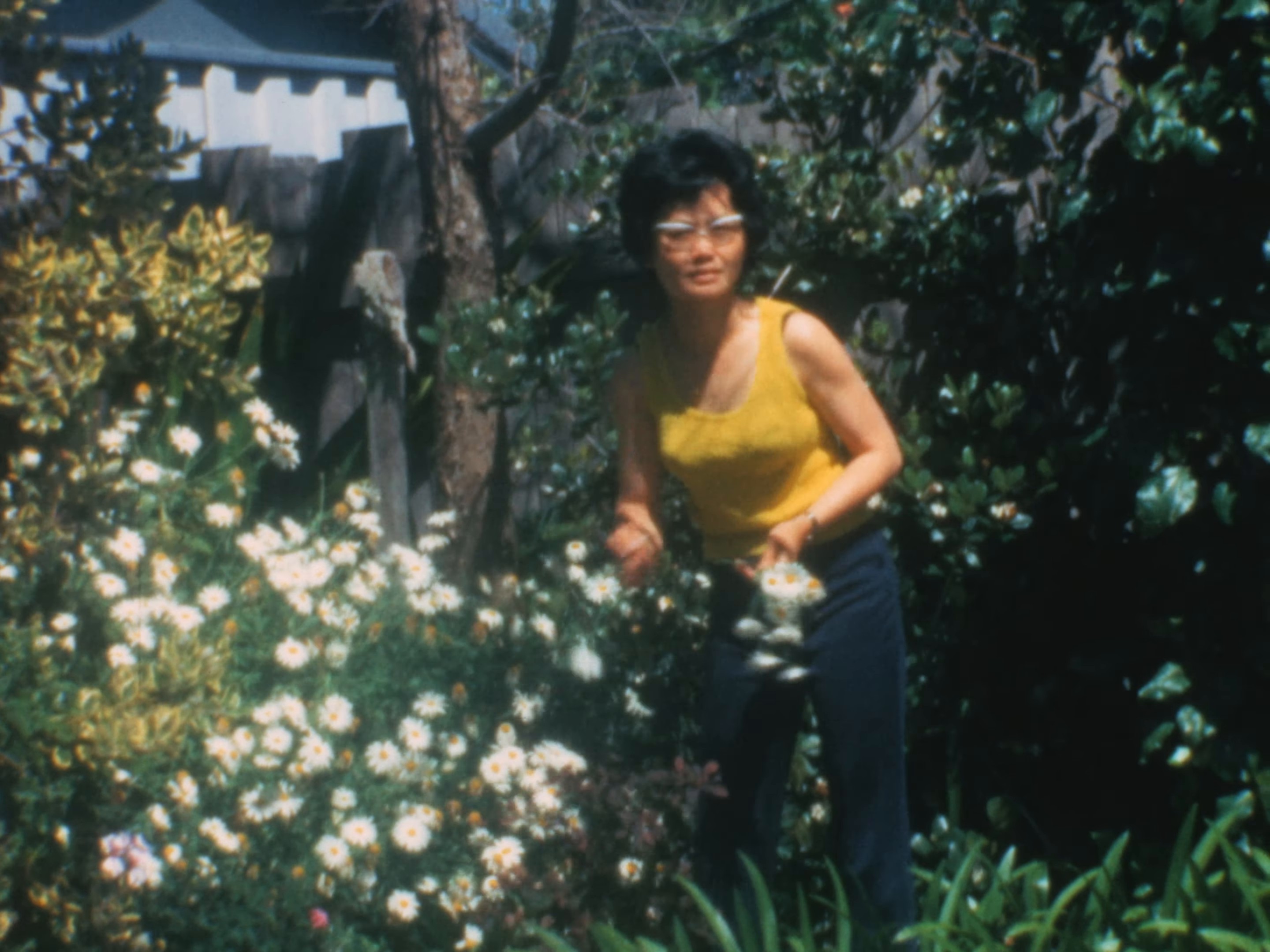 All Your Life (2024) —  shot,  lighting