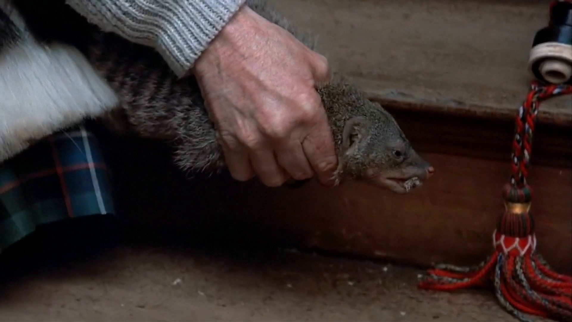 The Lair of the White Worm (1988) —  shot,  lighting