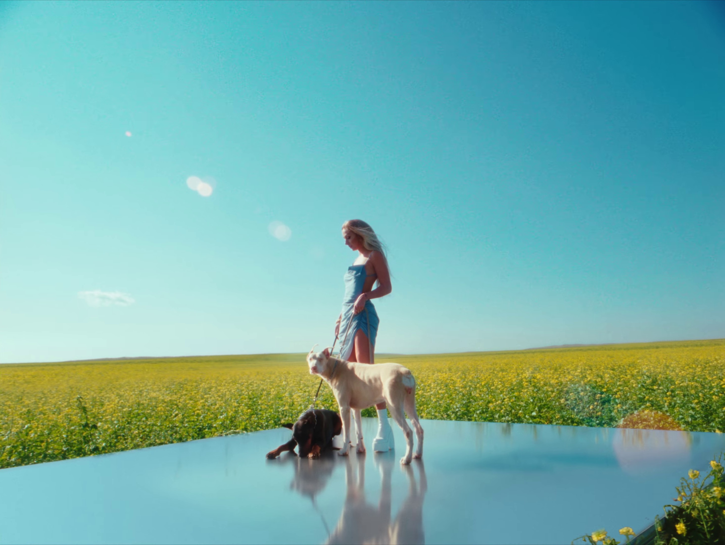 Bali  (2021) —  shot,  lighting