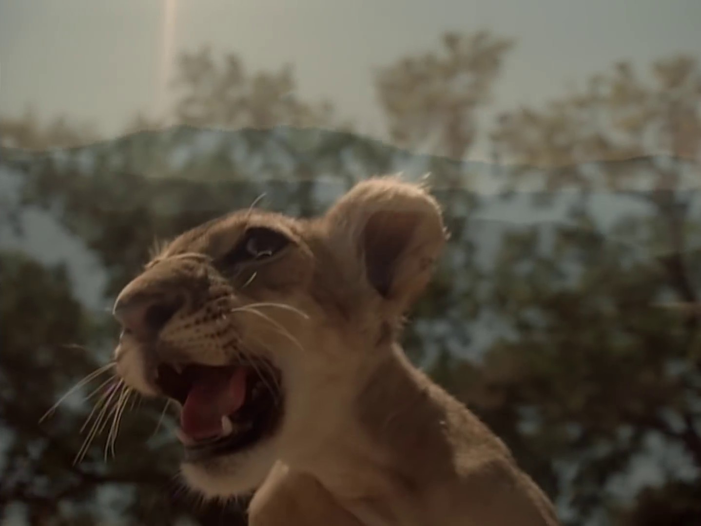 Island In The Sun (2009) —  shot,  lighting