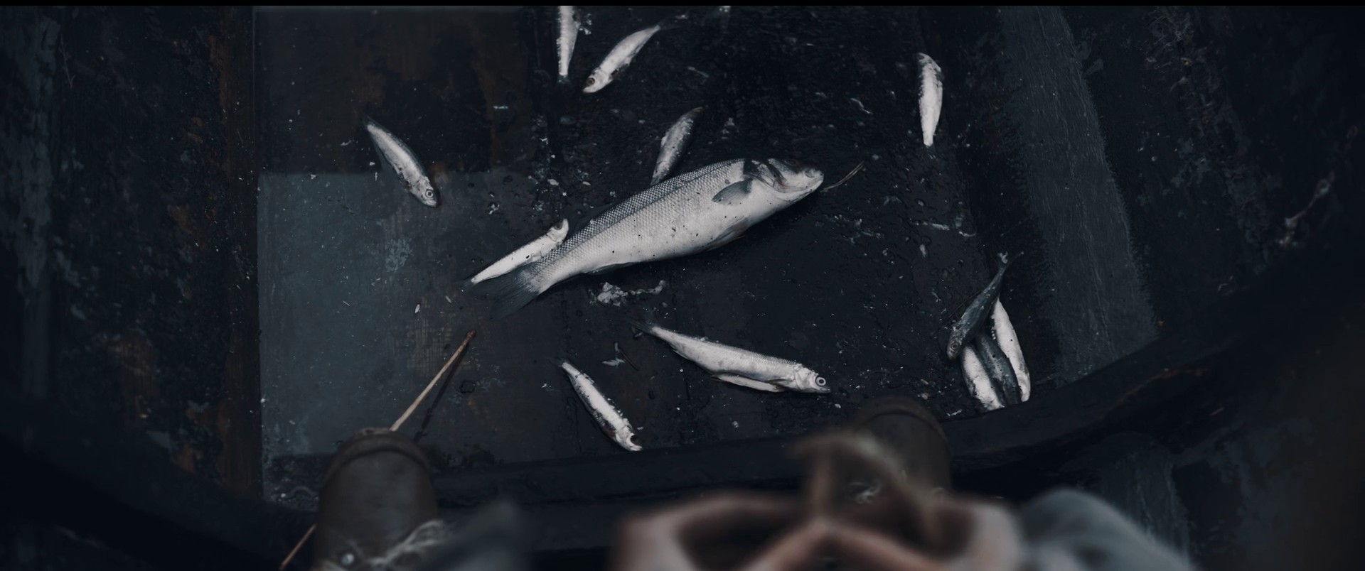 Saint Anthony's Fire (2020) —  shot,  lighting