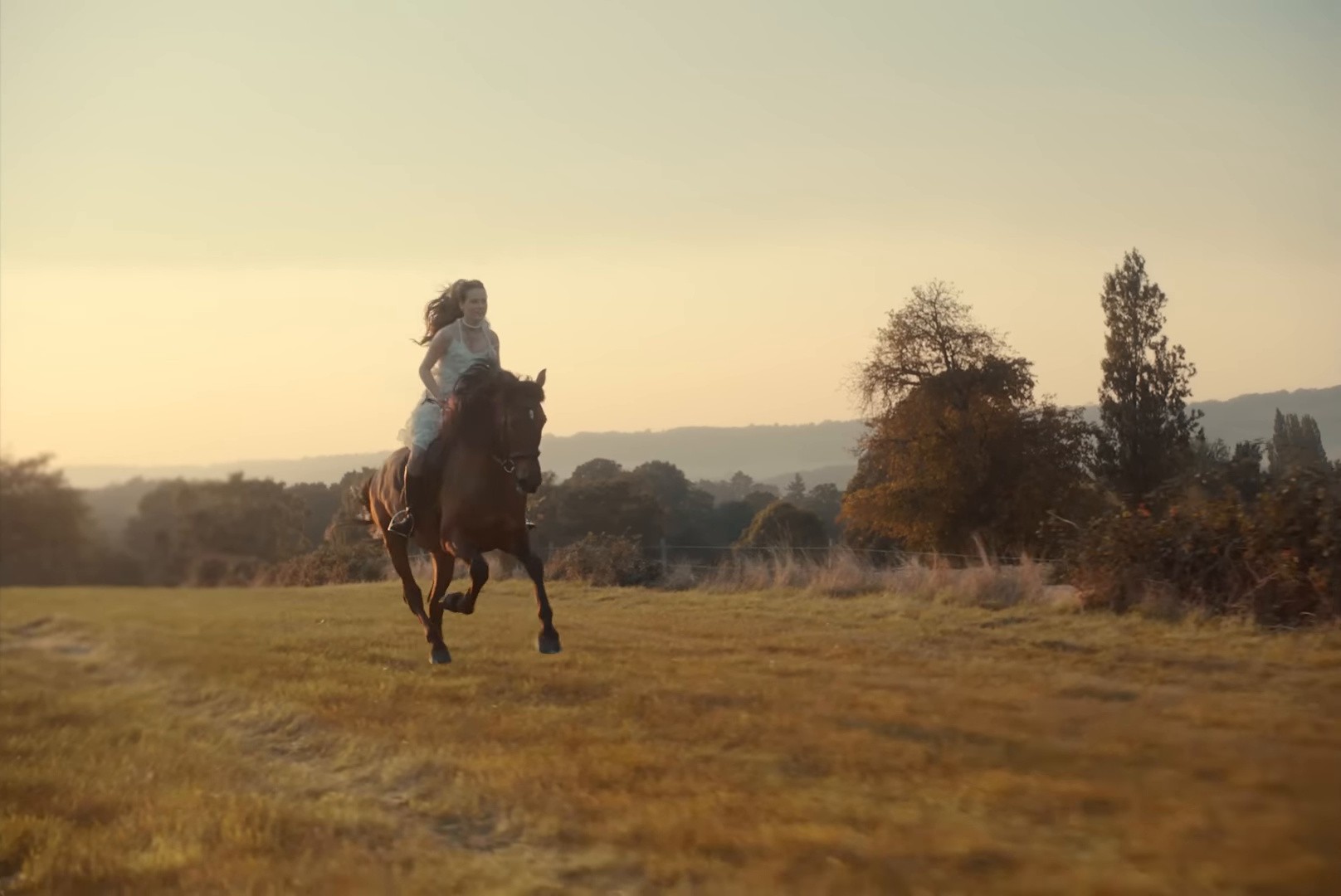 Safety Net (2024) —  shot,  lighting