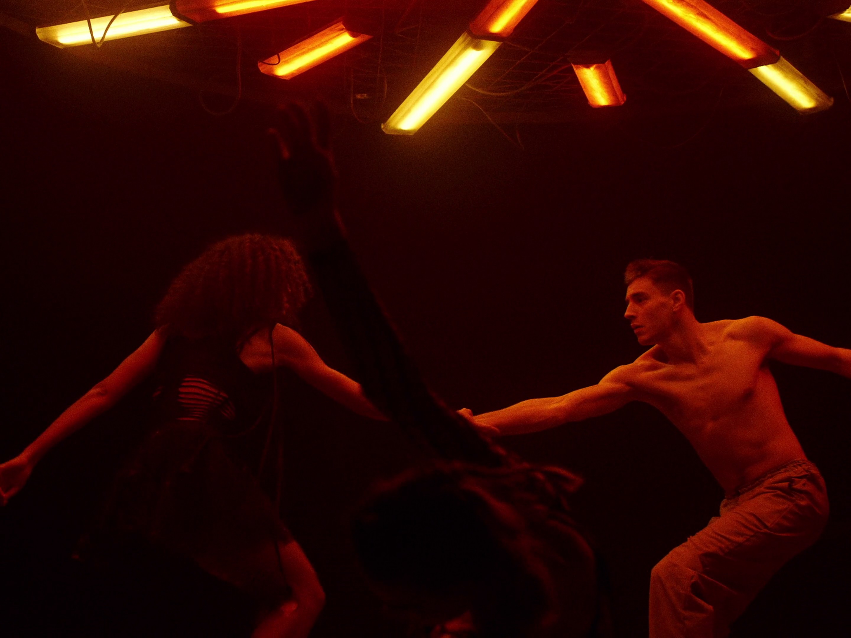 Roses (2020) —  shot,  lighting