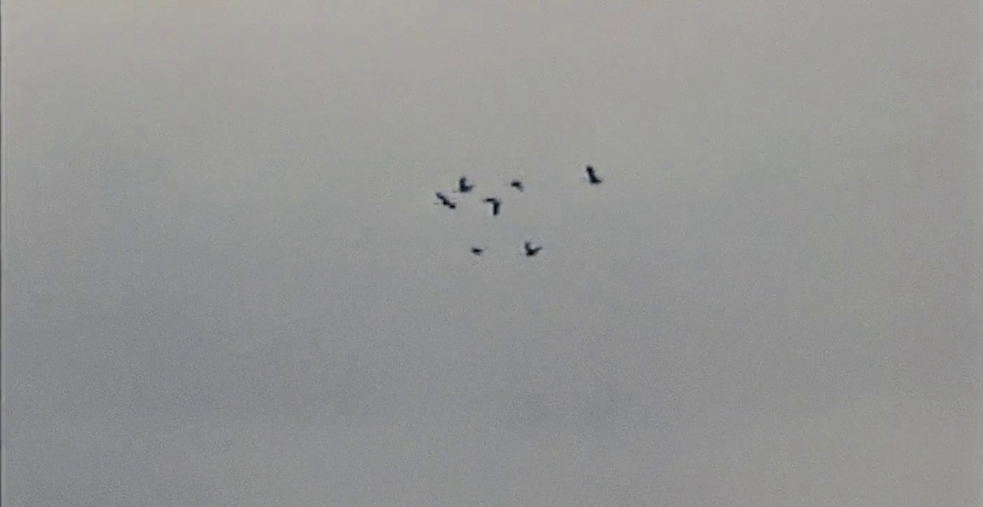 Volvo "Moving Forward" (2019) —  shot,  lighting