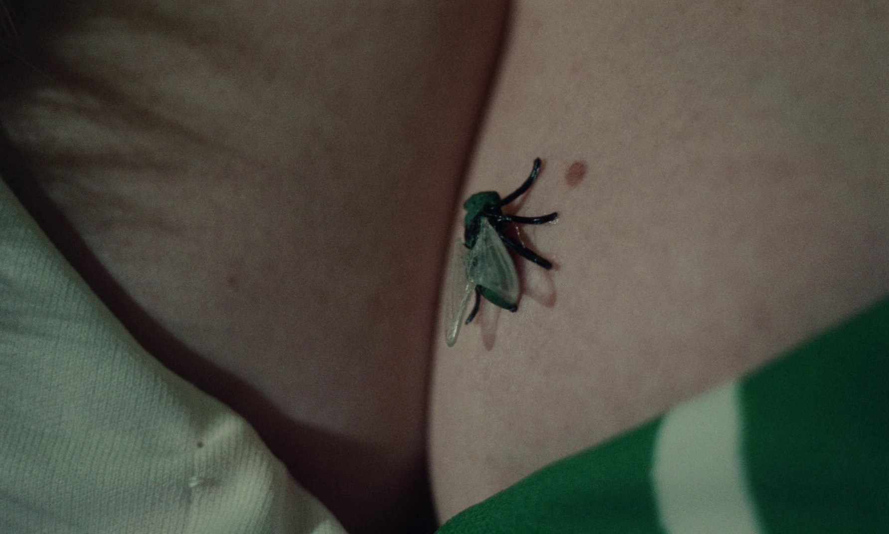 L'Ibis rouge (1975) —  shot,  lighting