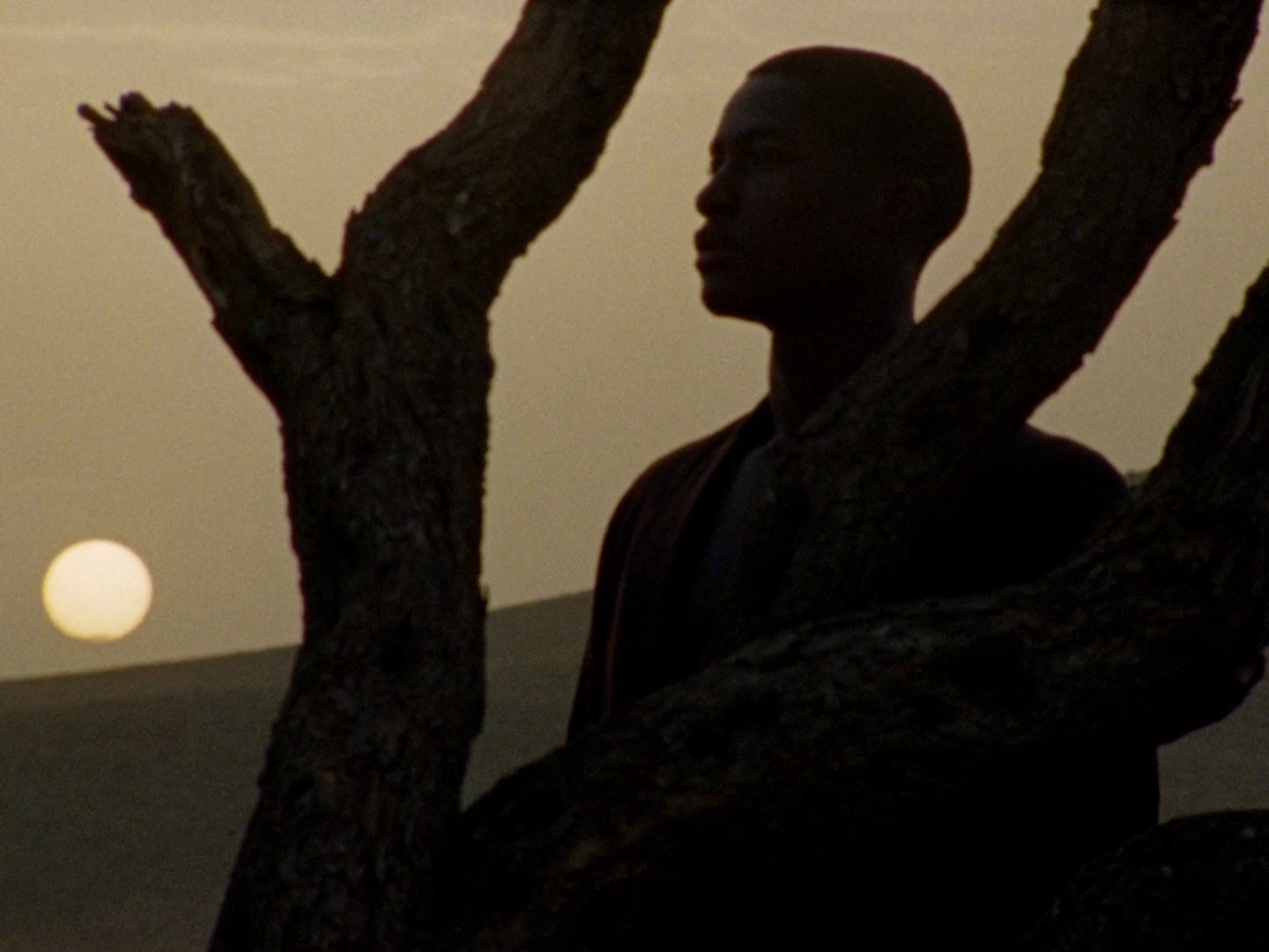 Myrrh & Tonka - Jo Malone (2023) —  shot,  lighting