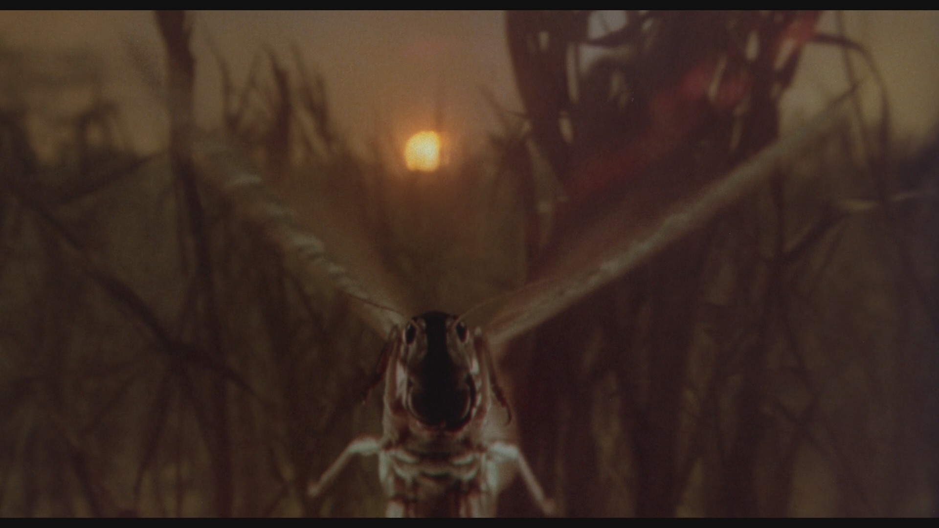 Exorcist II: The Heretic (1977) —  shot,  lighting