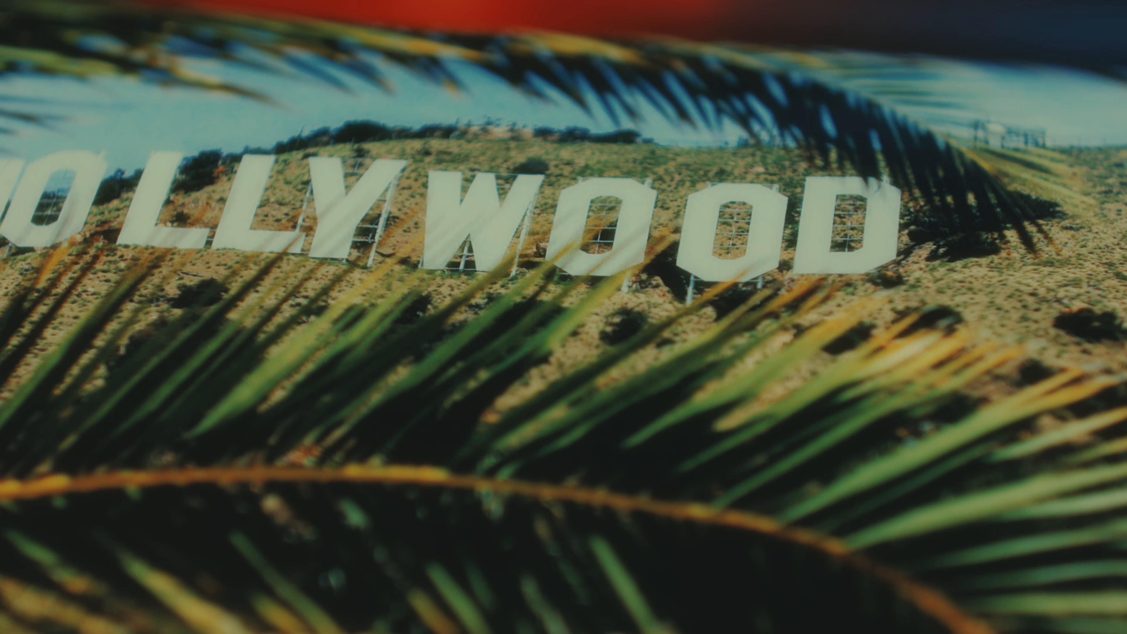 Cold in California  (2025) —  shot,  lighting