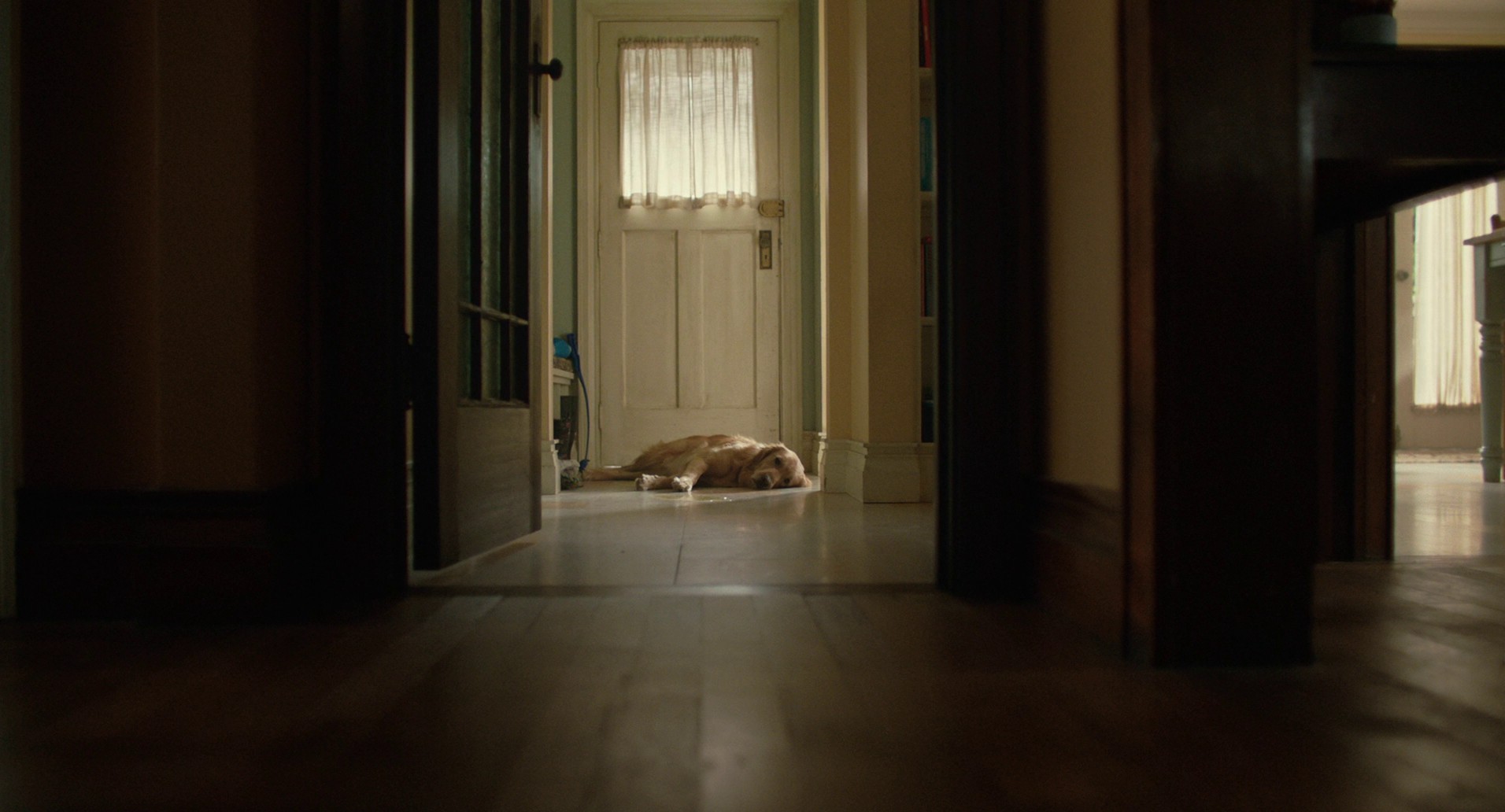 The Art of Racing in the Rain (2019) —  shot,  lighting