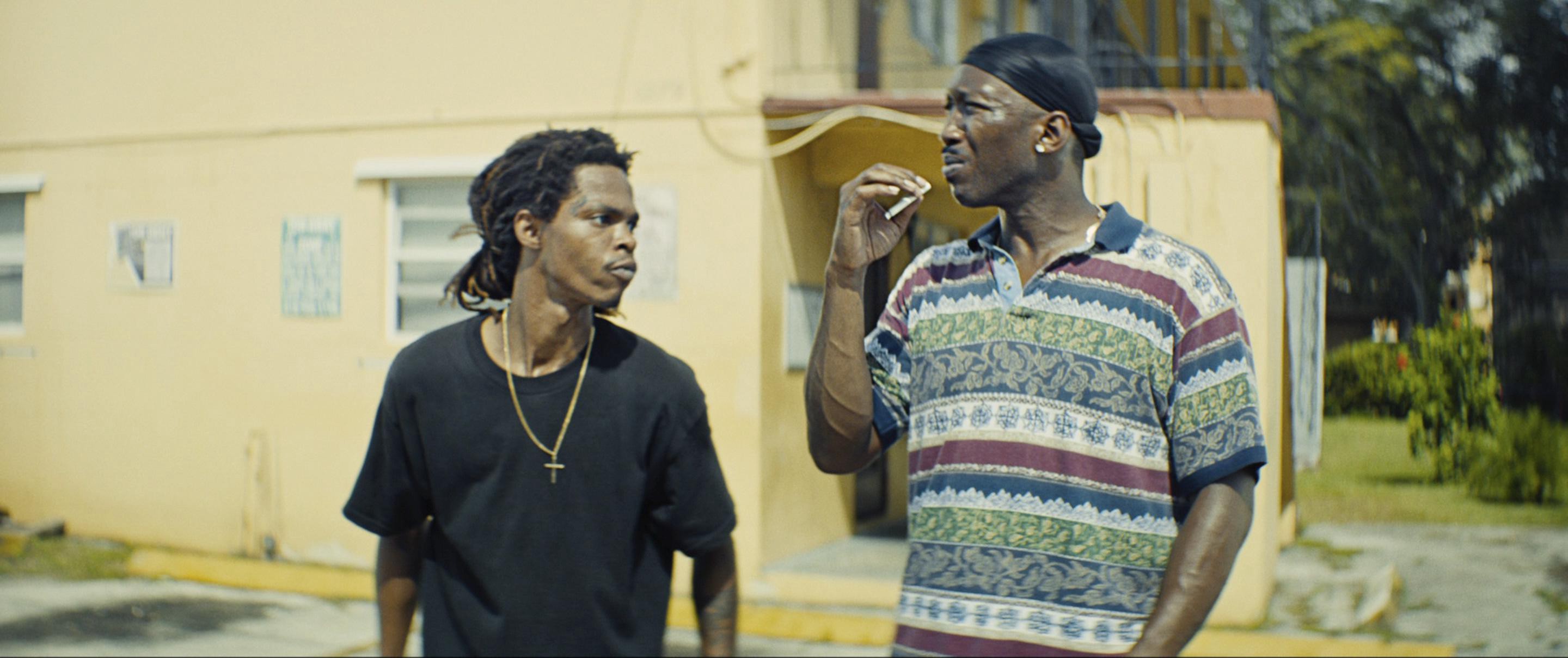 Moonlight (2016) —  shot,  lighting