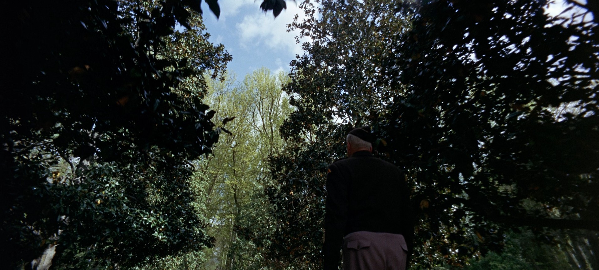 Patton (1970) —  shot,  lighting