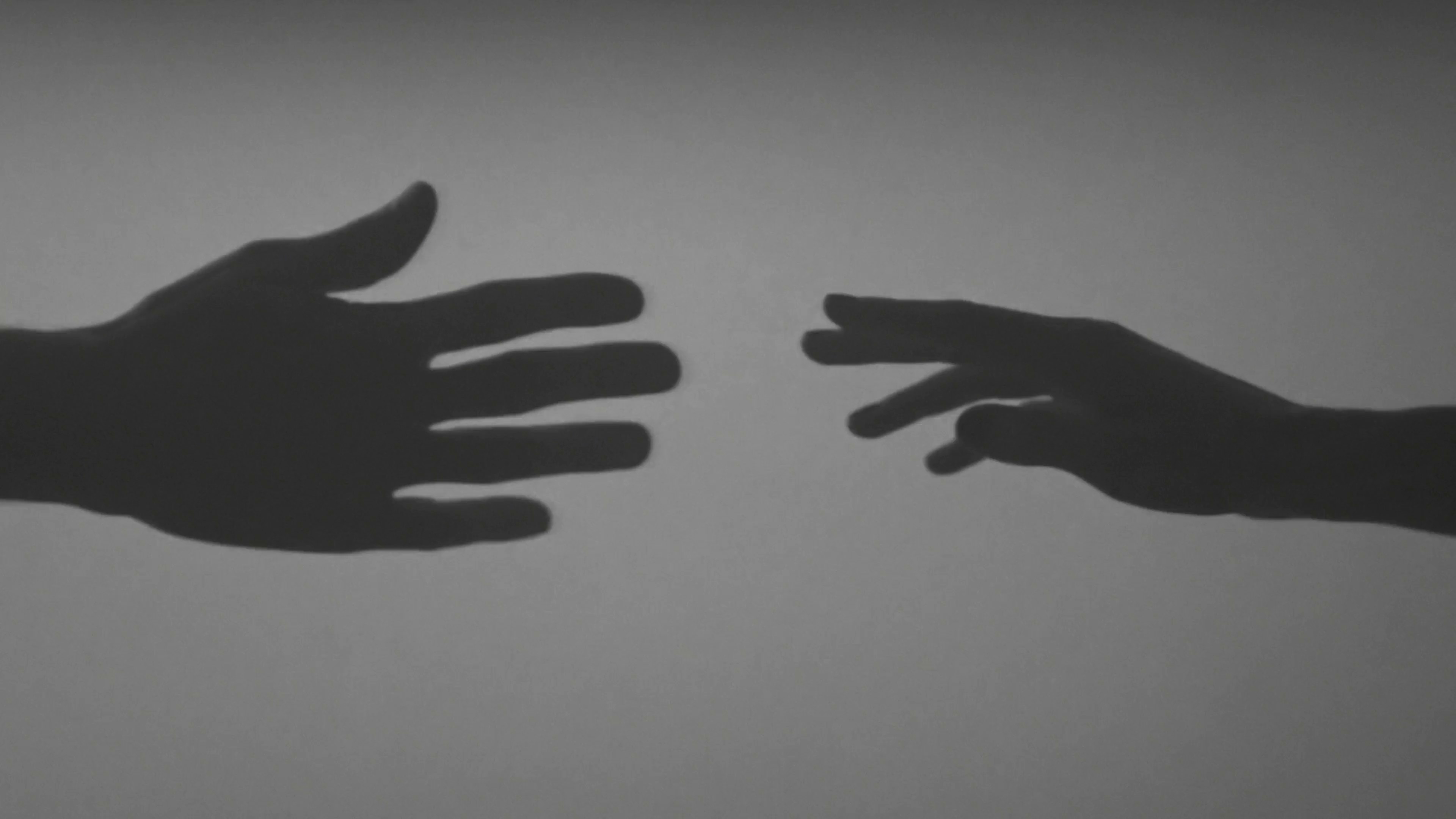 YSL - L'Homme, La Nuit de L'Homme (2023) —  shot,  lighting