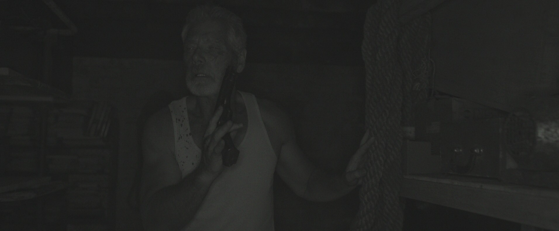 Don't Breathe (2016) —  shot,  lighting