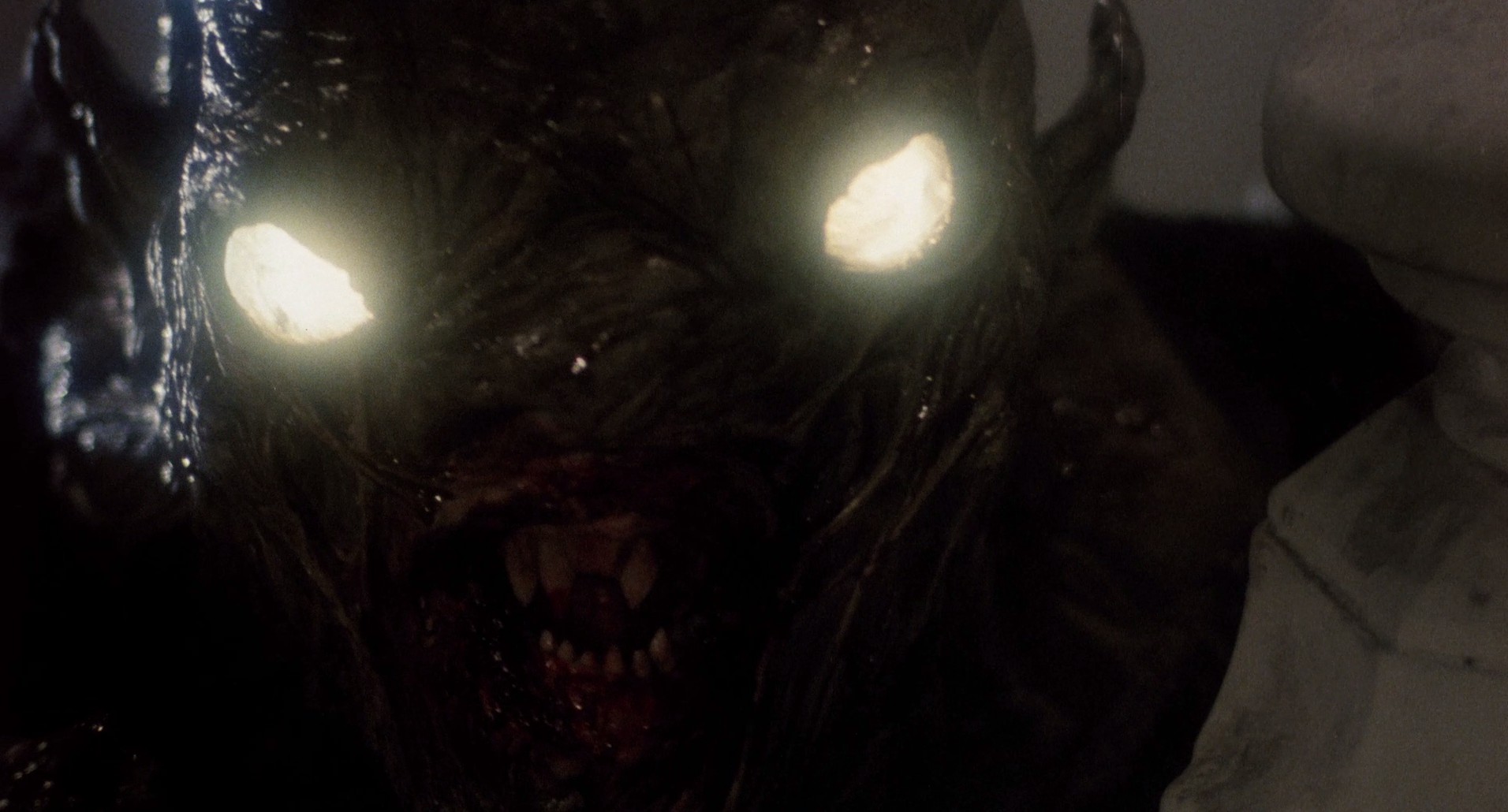 C.H.U.D. (1984) —  shot,  lighting