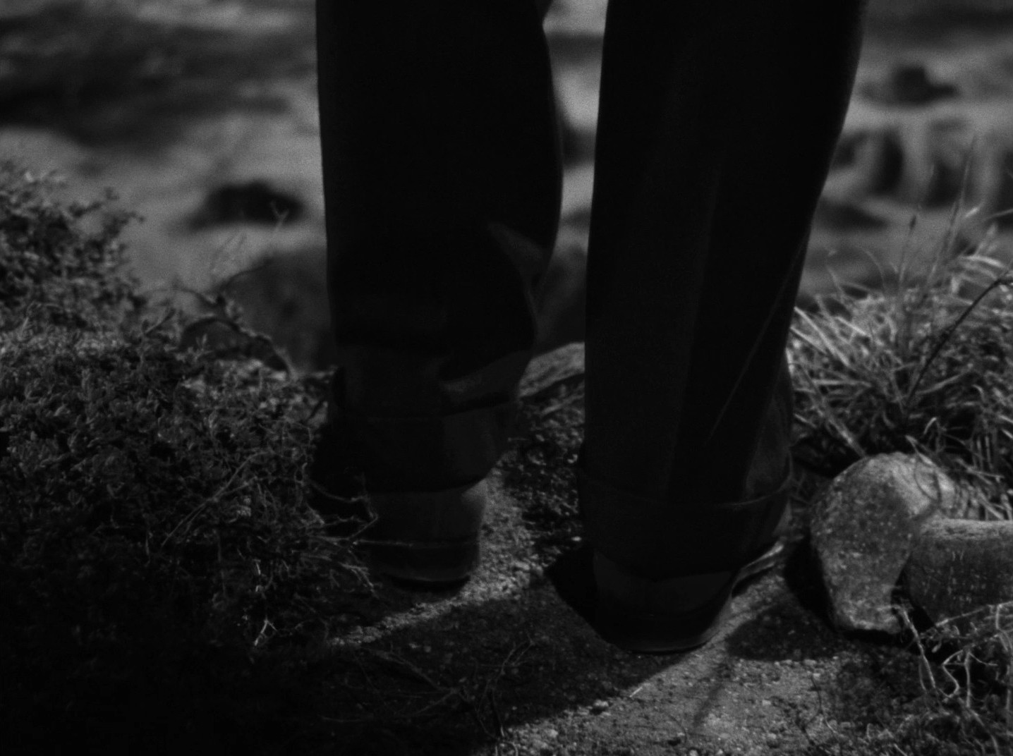 Rebecca (1940) —  shot,  lighting