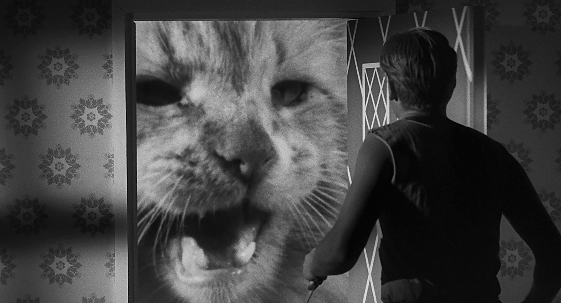 The Incredible Shrinking Man (1957) —  shot,  lighting