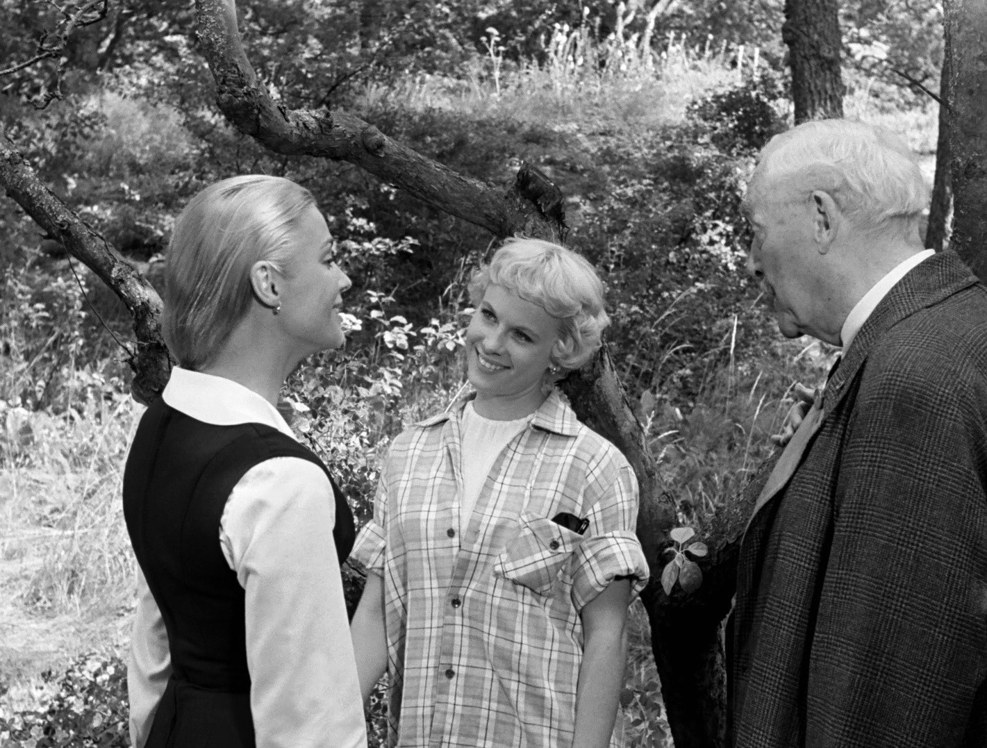 Wild Strawberries (1957) —  shot,  lighting