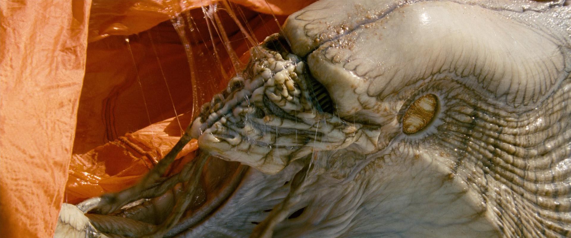 Independence Day (1996) —  shot,  lighting