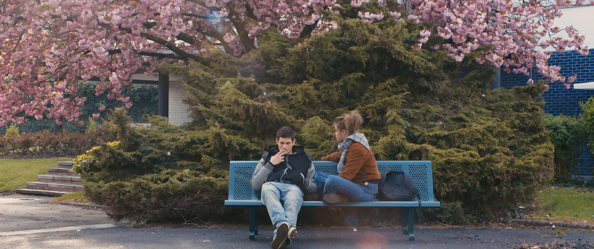 Blue Is the Warmest Colour (2013) —  shot,  lighting