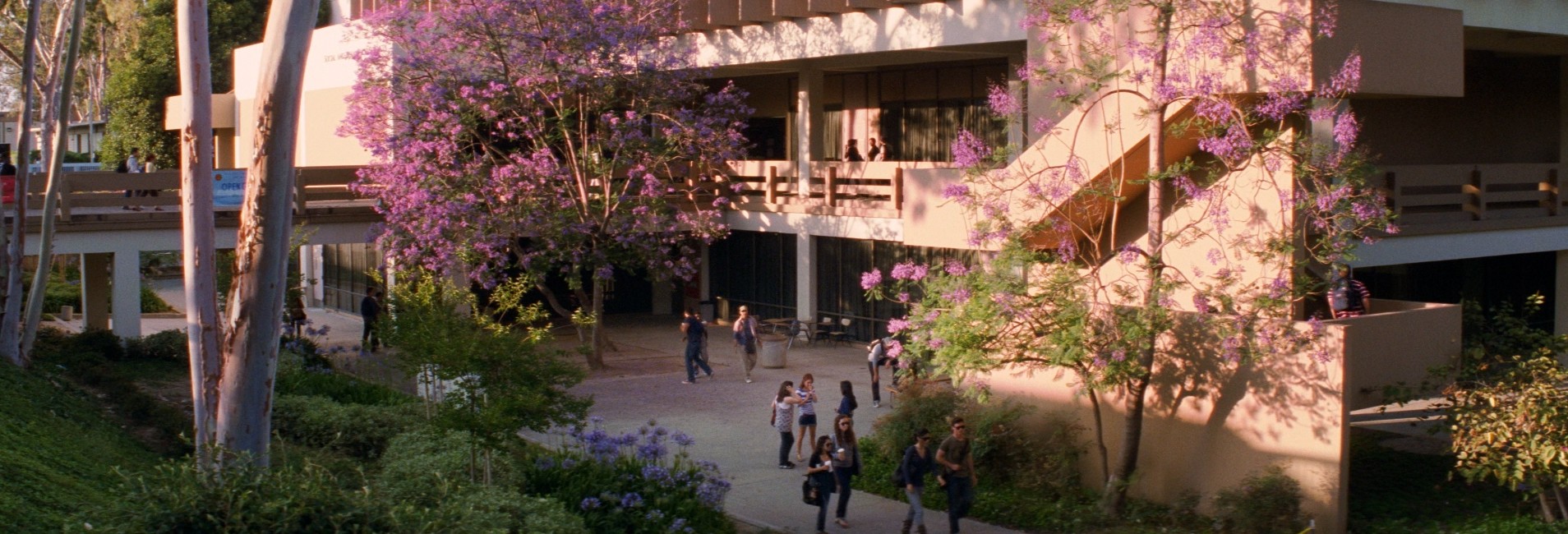 Larry Crowne (2011) —  shot,  lighting