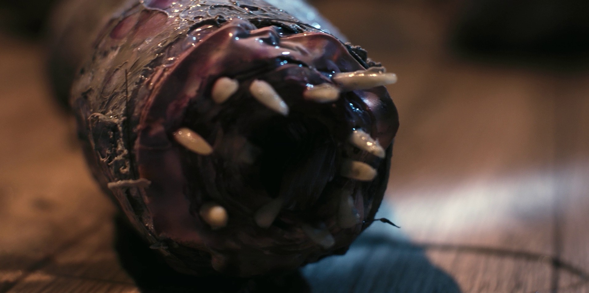 Book of Monsters (2018) —  shot,  lighting