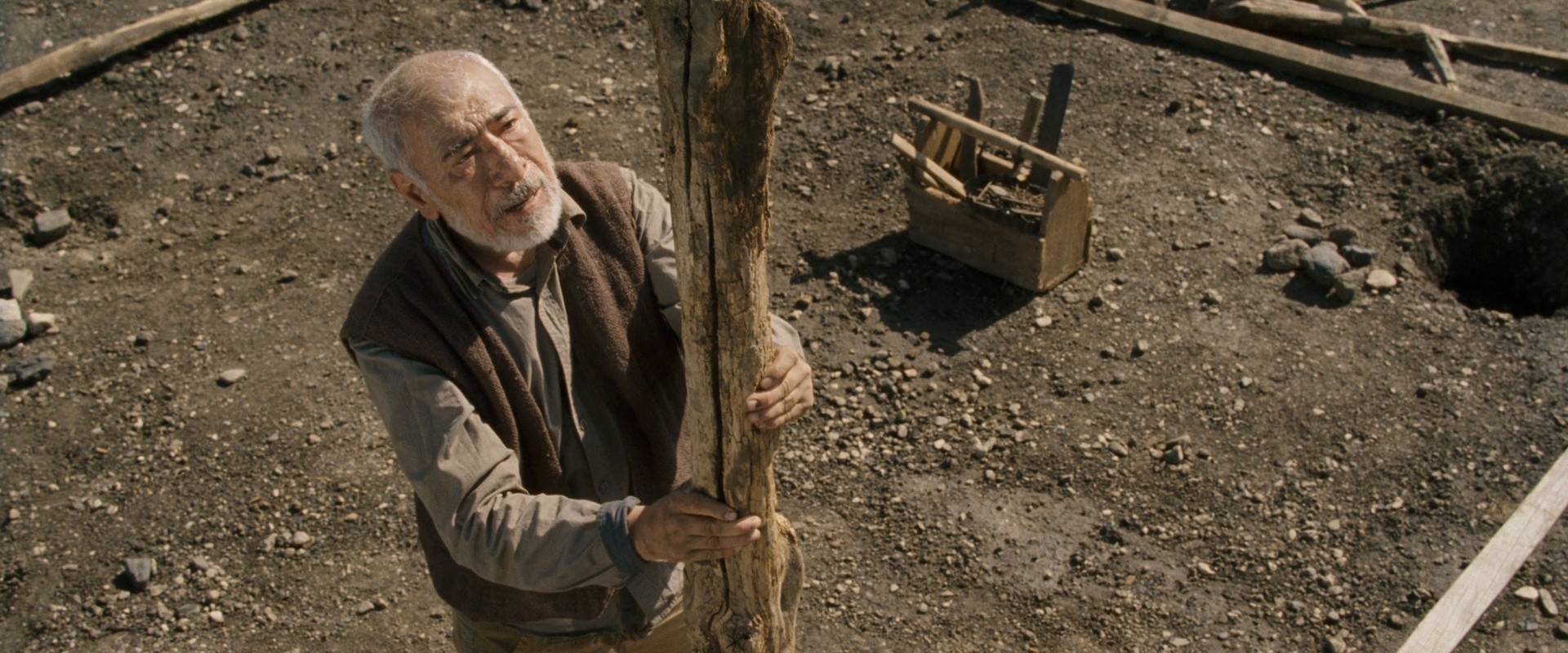 Corn Island (2015) —  shot,  lighting