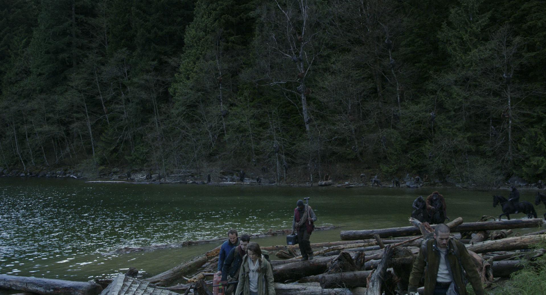 Dawn of the Planet of the Apes (2014) —  shot,  lighting