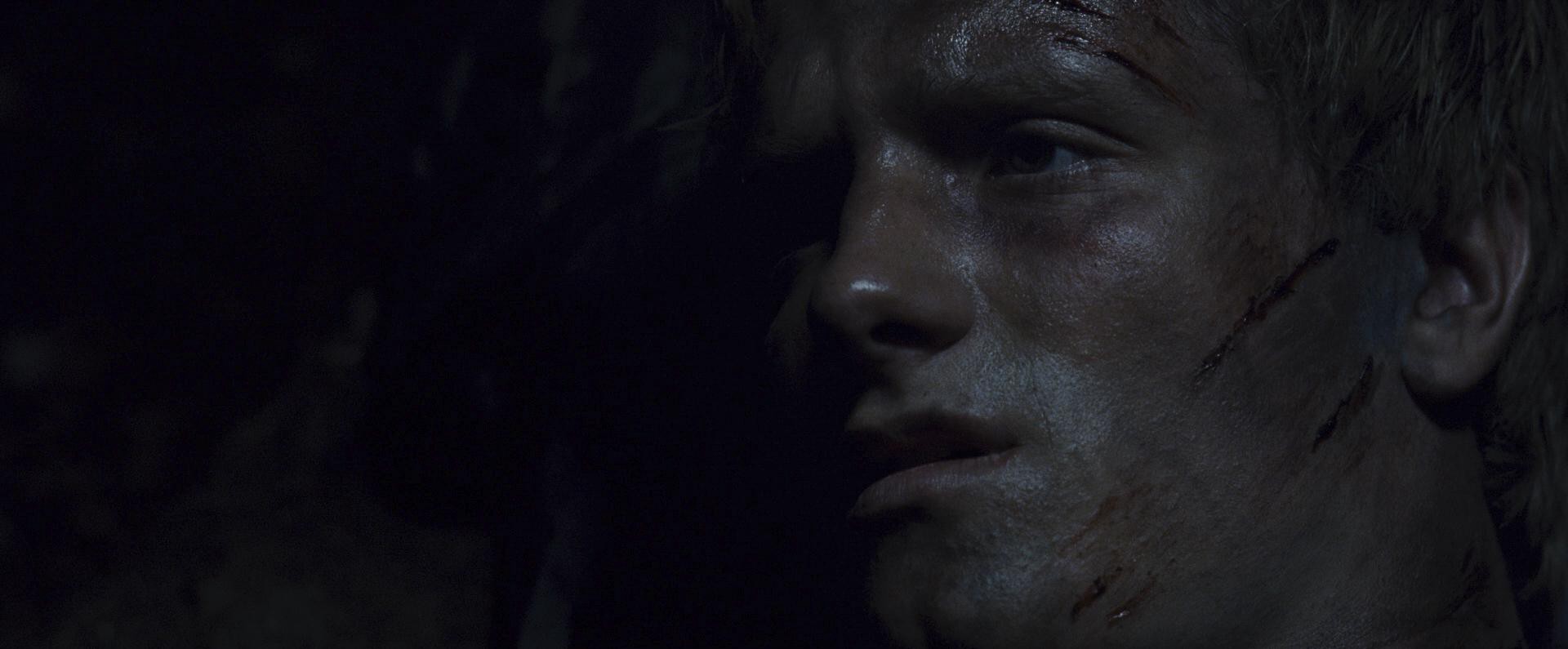 The Hunger Games (2012) —  shot,  lighting