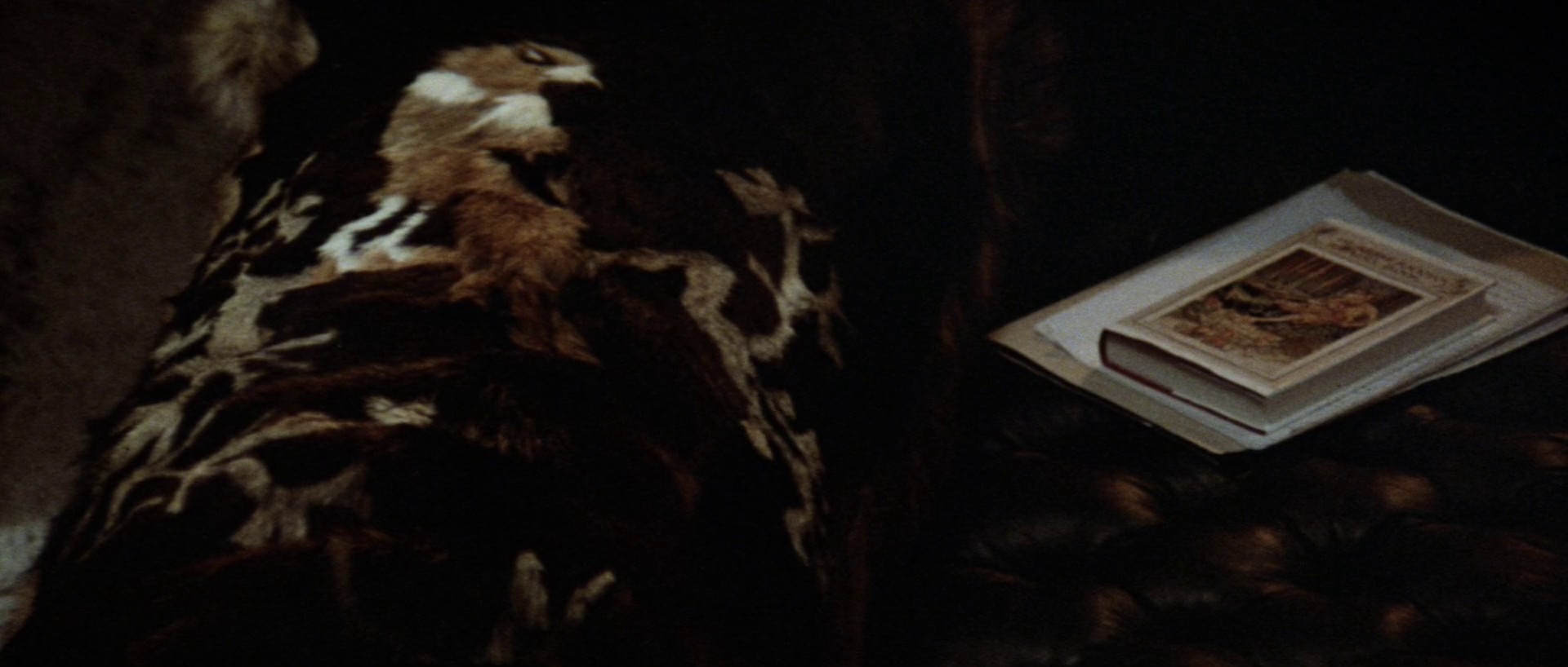 Images (1972) —  shot,  lighting