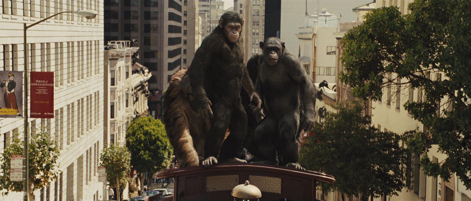 Rise of the Planet of the Apes (2011) —  shot,  lighting