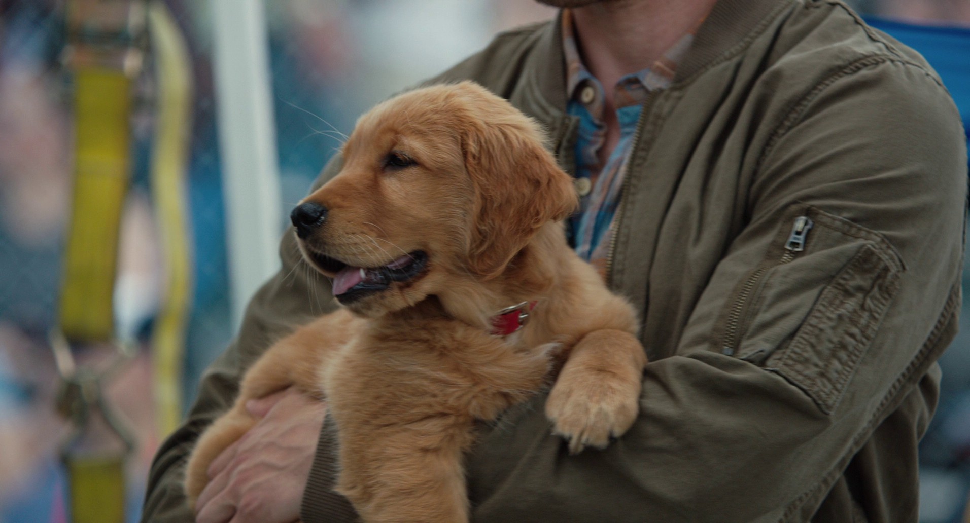 The Art of Racing in the Rain (2019) —  shot,  lighting