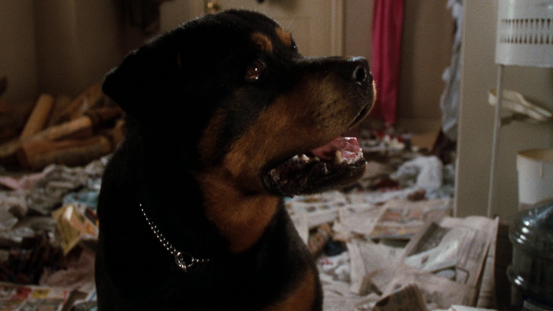 National Lampoon's Winter Holiday (1989) —  shot,  lighting