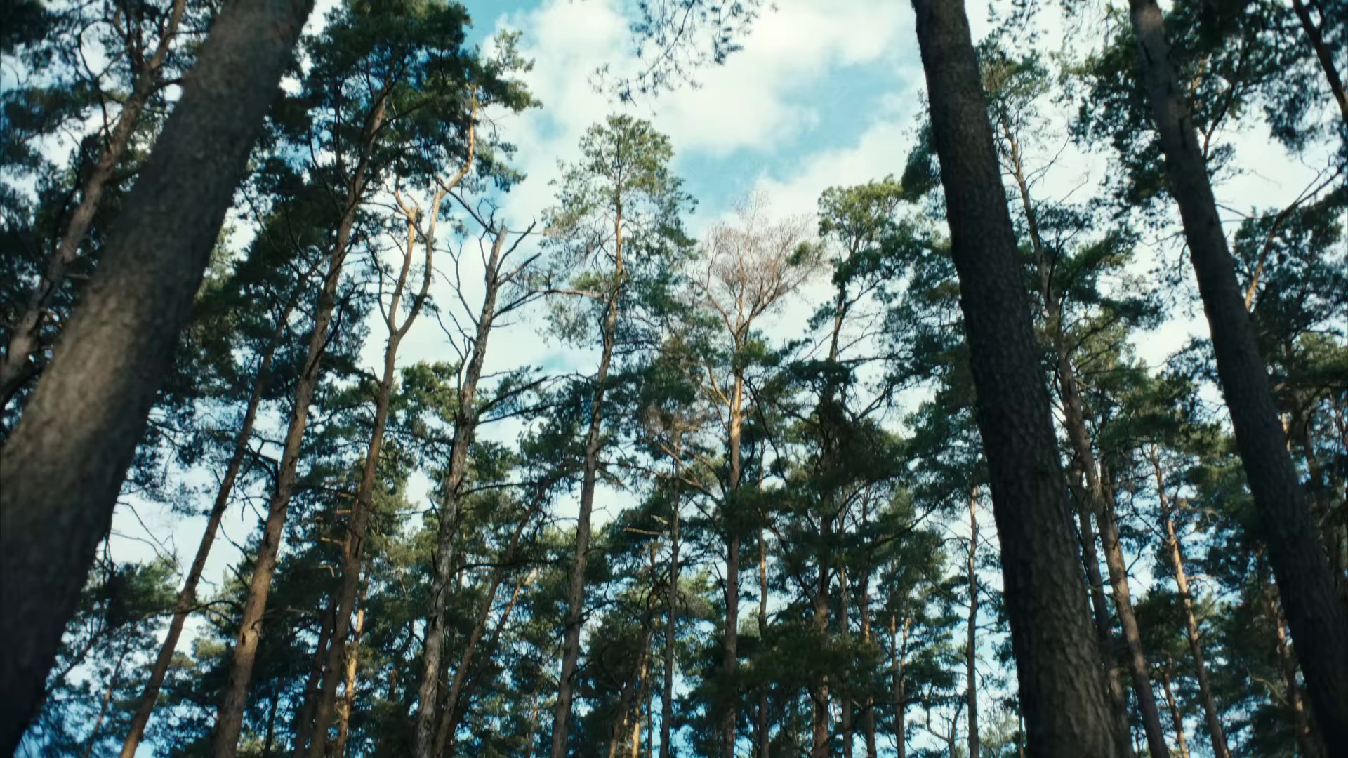 Skipping Like A Stone (2023) —  shot,  lighting