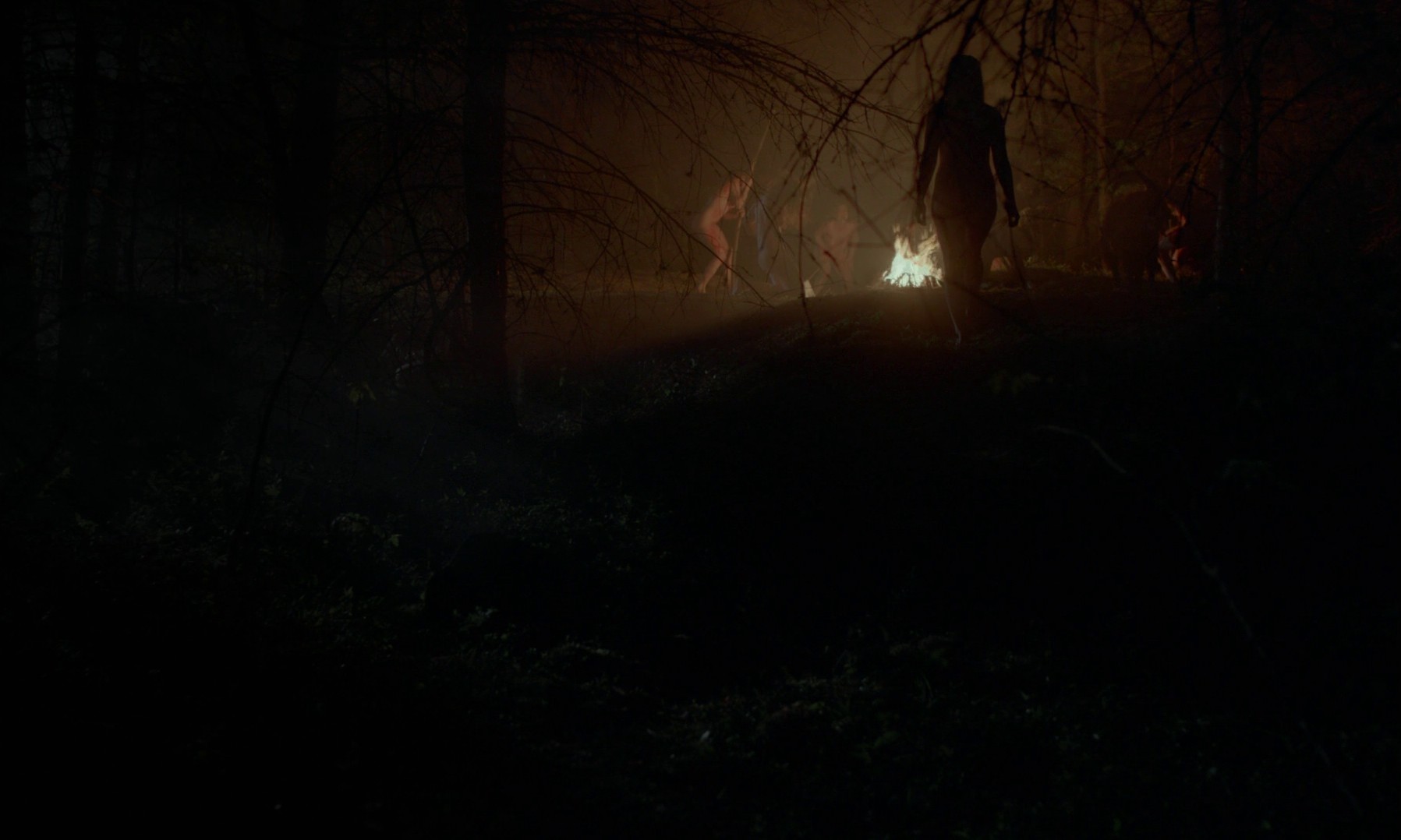 The Witch (2015) —  shot,  lighting