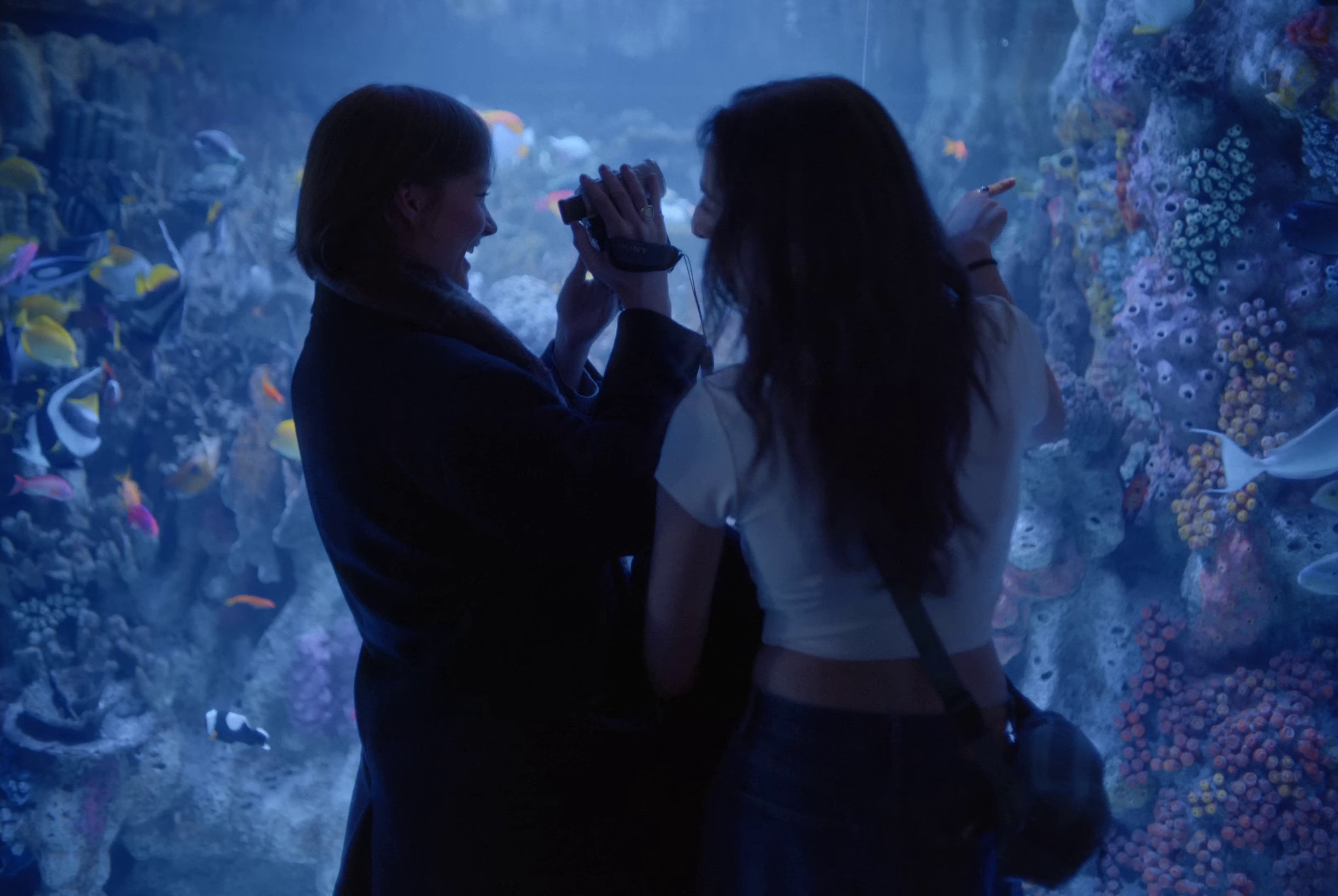 Wishes (2024) —  shot,  lighting