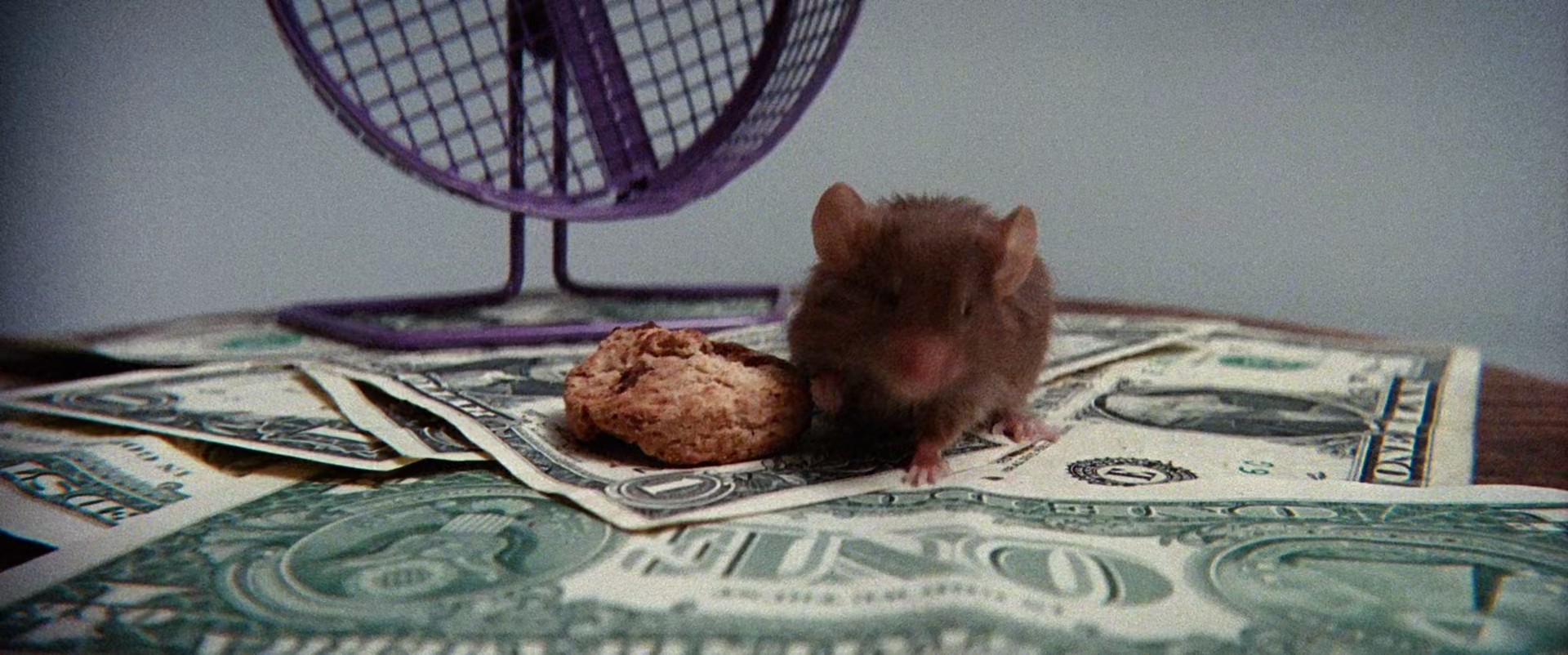 JA RULE (2019) —  shot,  lighting