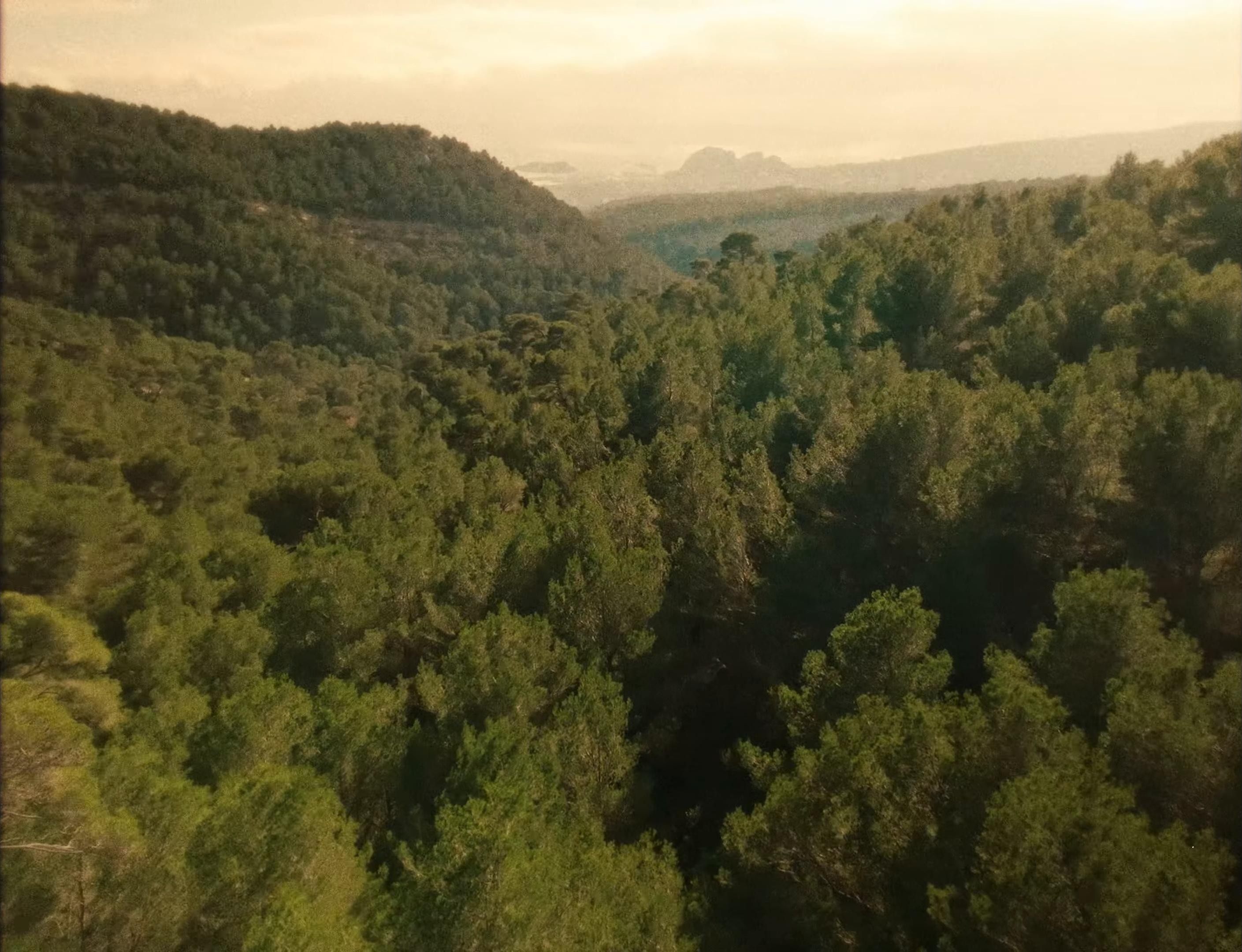 Calma Papi (2025) —  shot,  lighting