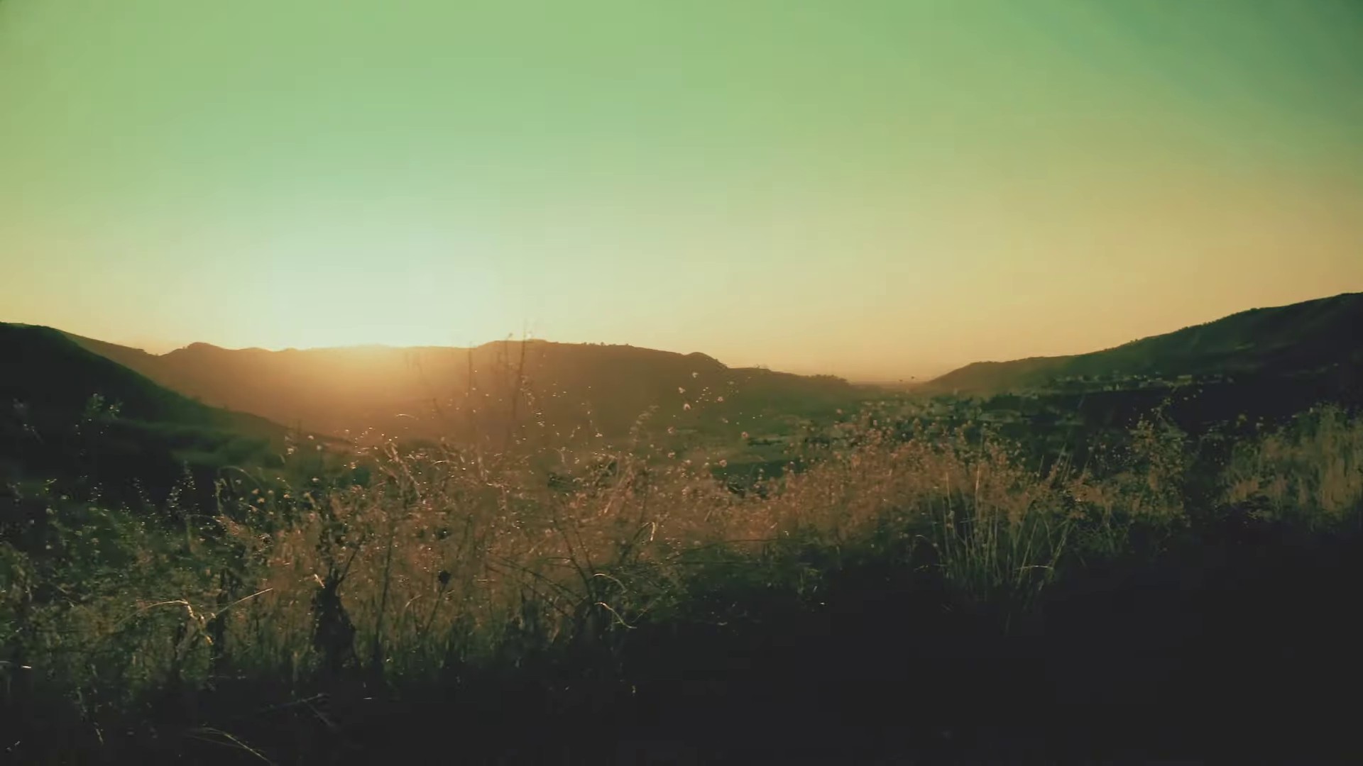 Va (2022) —  shot,  lighting