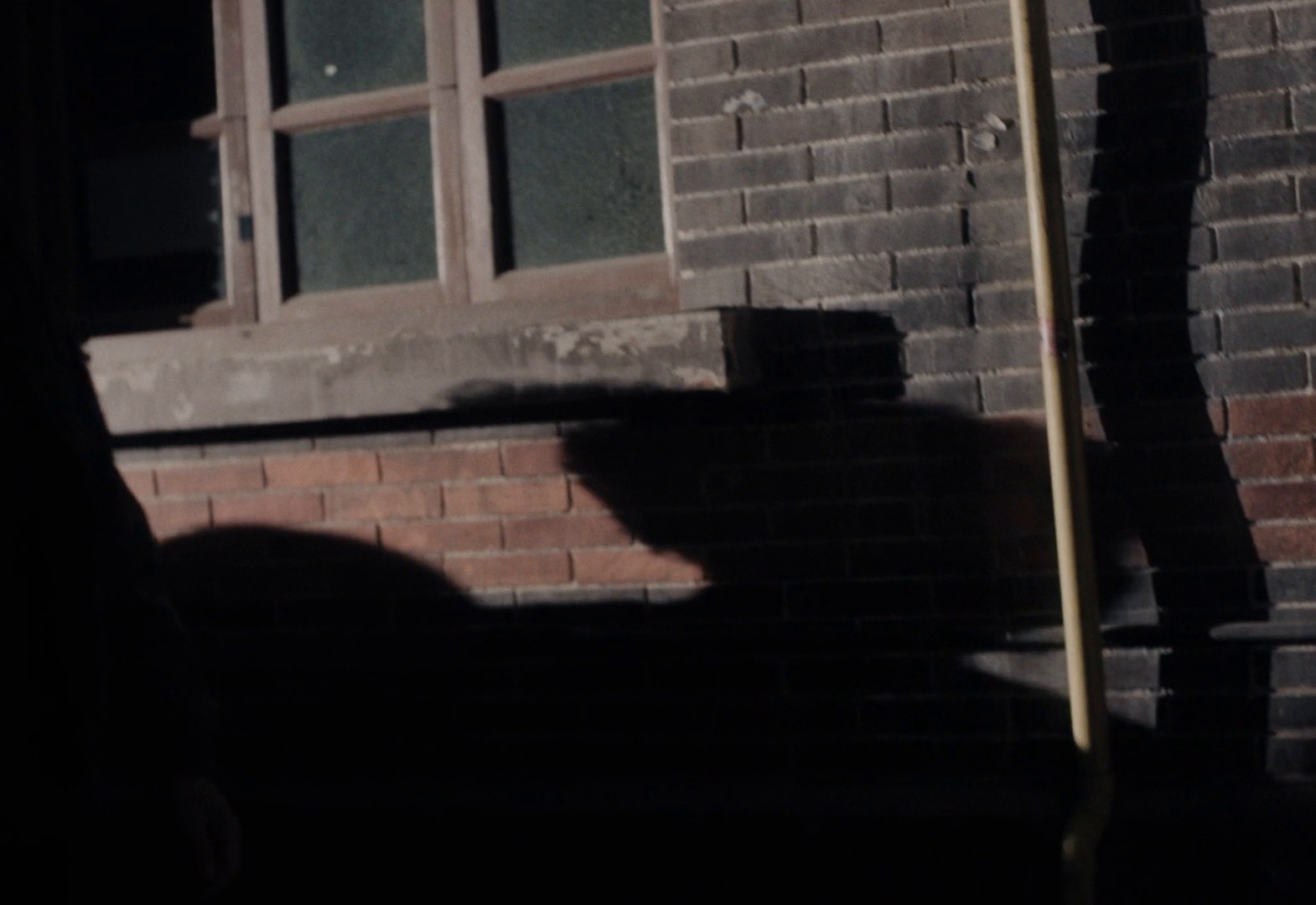 'Capture your dreams' - Leica x Xiaomi (2023) —  shot,  lighting