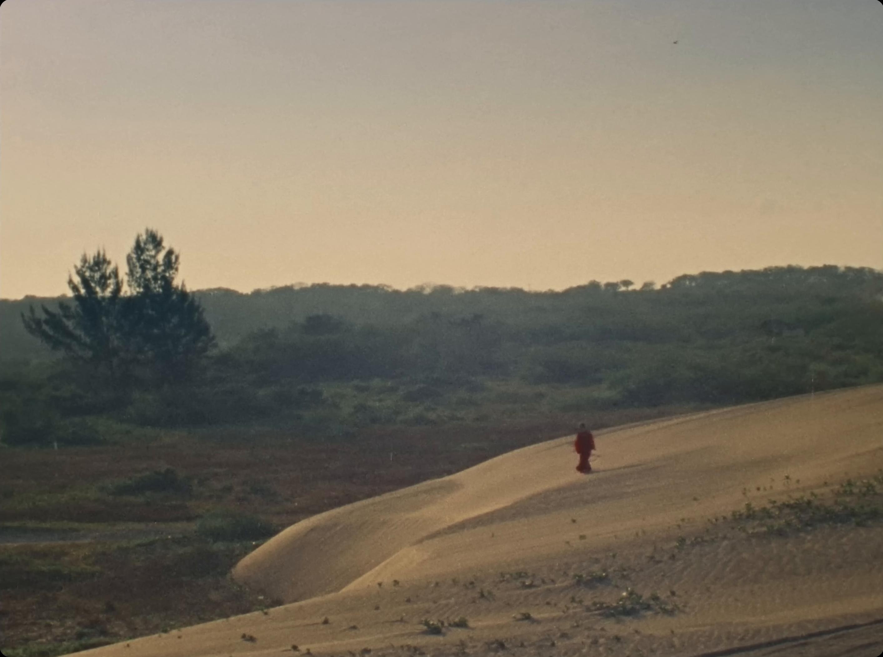 Lágrimas Cancioneras (2025) —  shot,  lighting