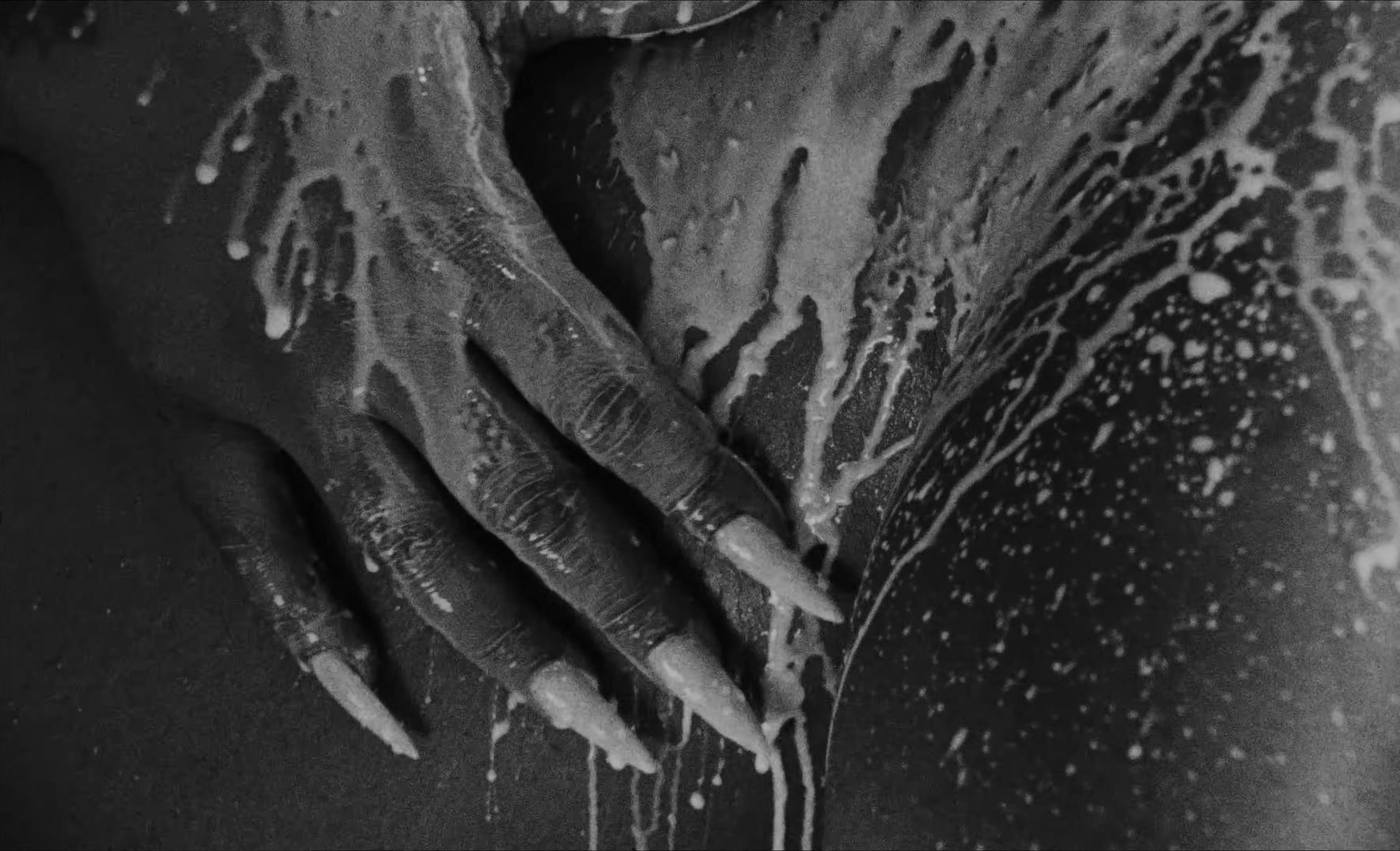 stupid prizes (2025) —  shot,  lighting