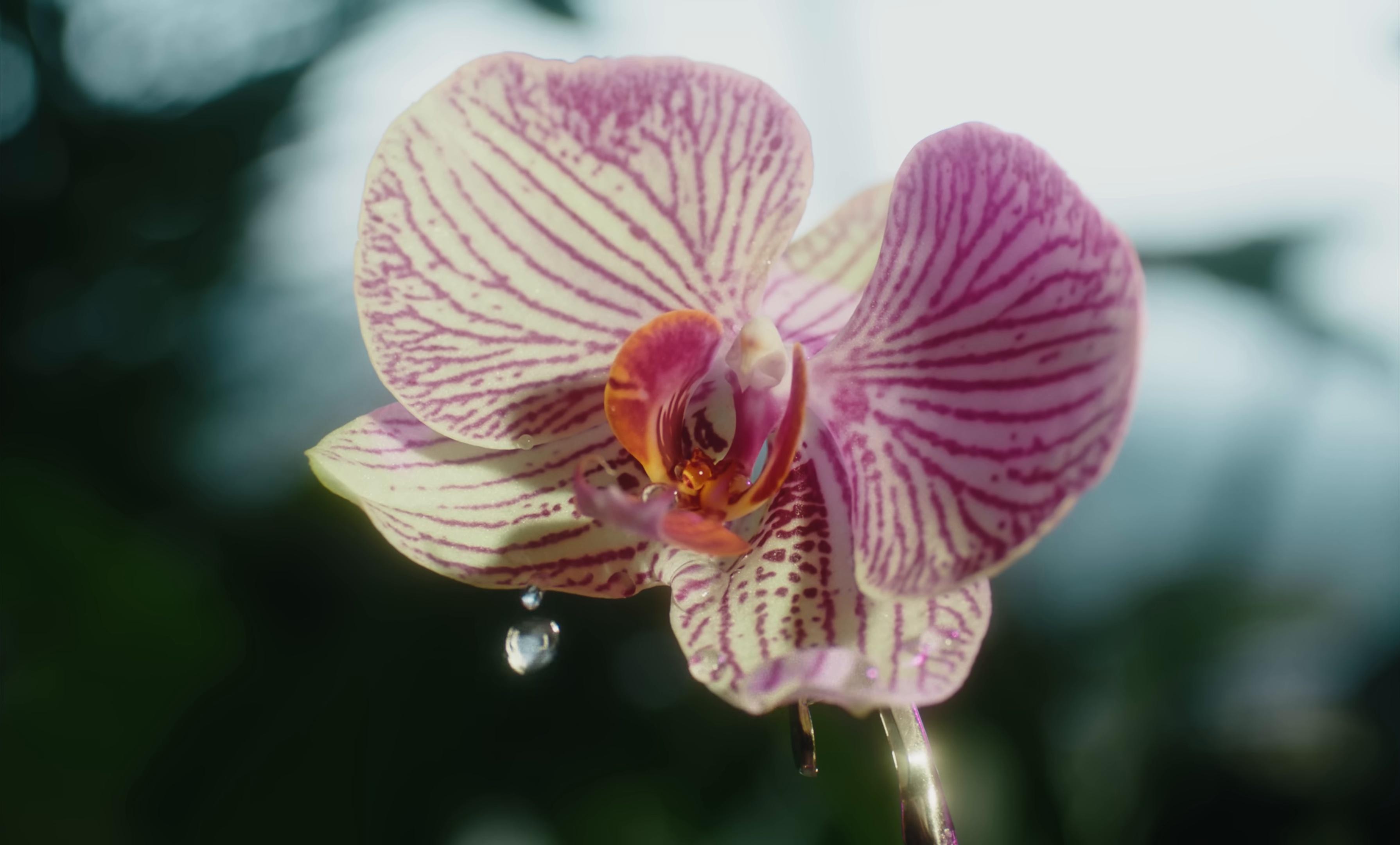 sad face :(  (2025) —  shot,  lighting