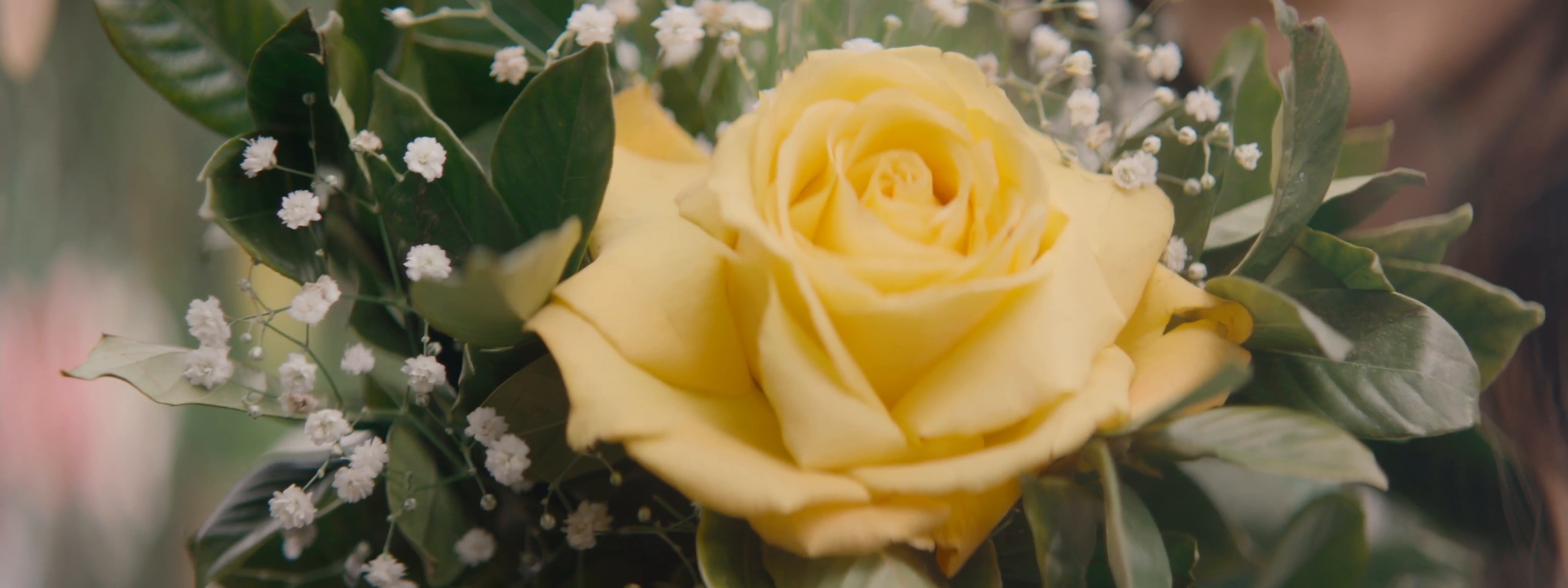 Correios E-Commerce (2017) —  shot,  lighting