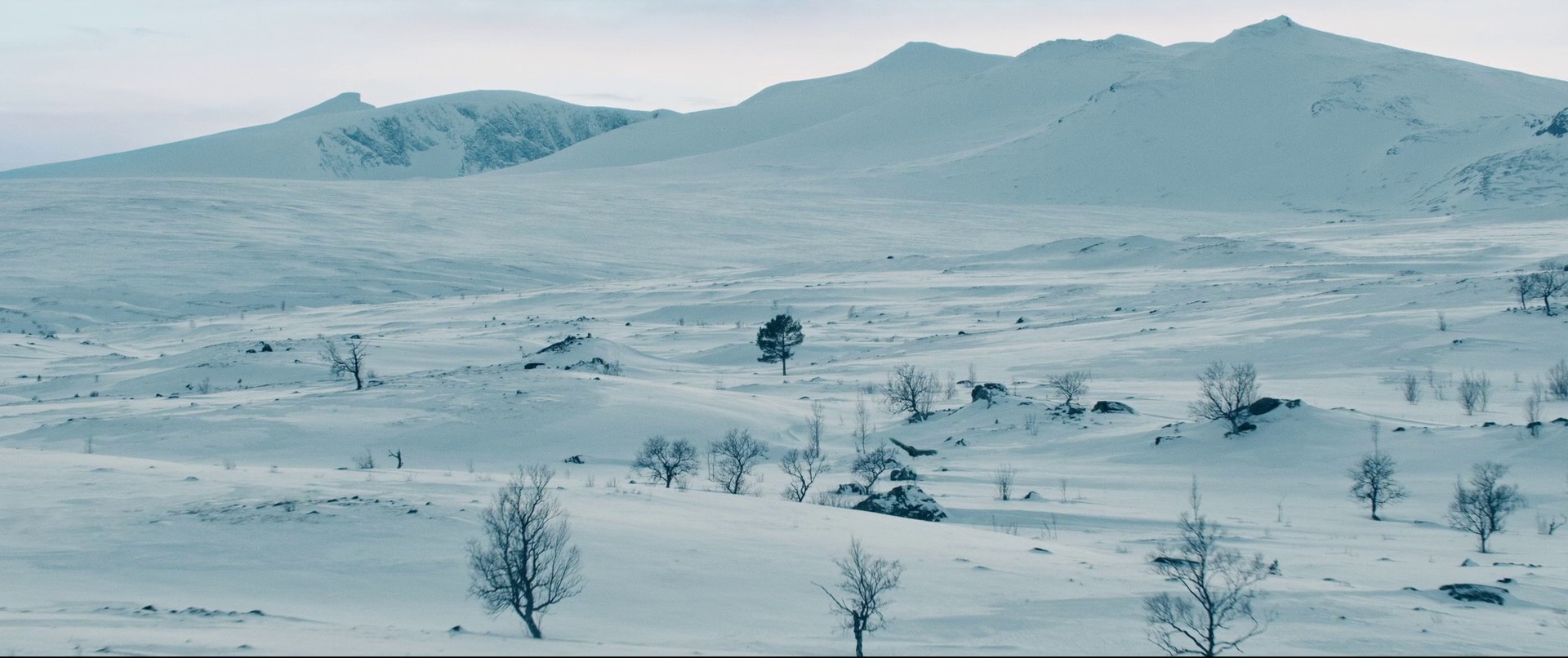 Three Wishes for Cinderella (2021) —  shot,  lighting